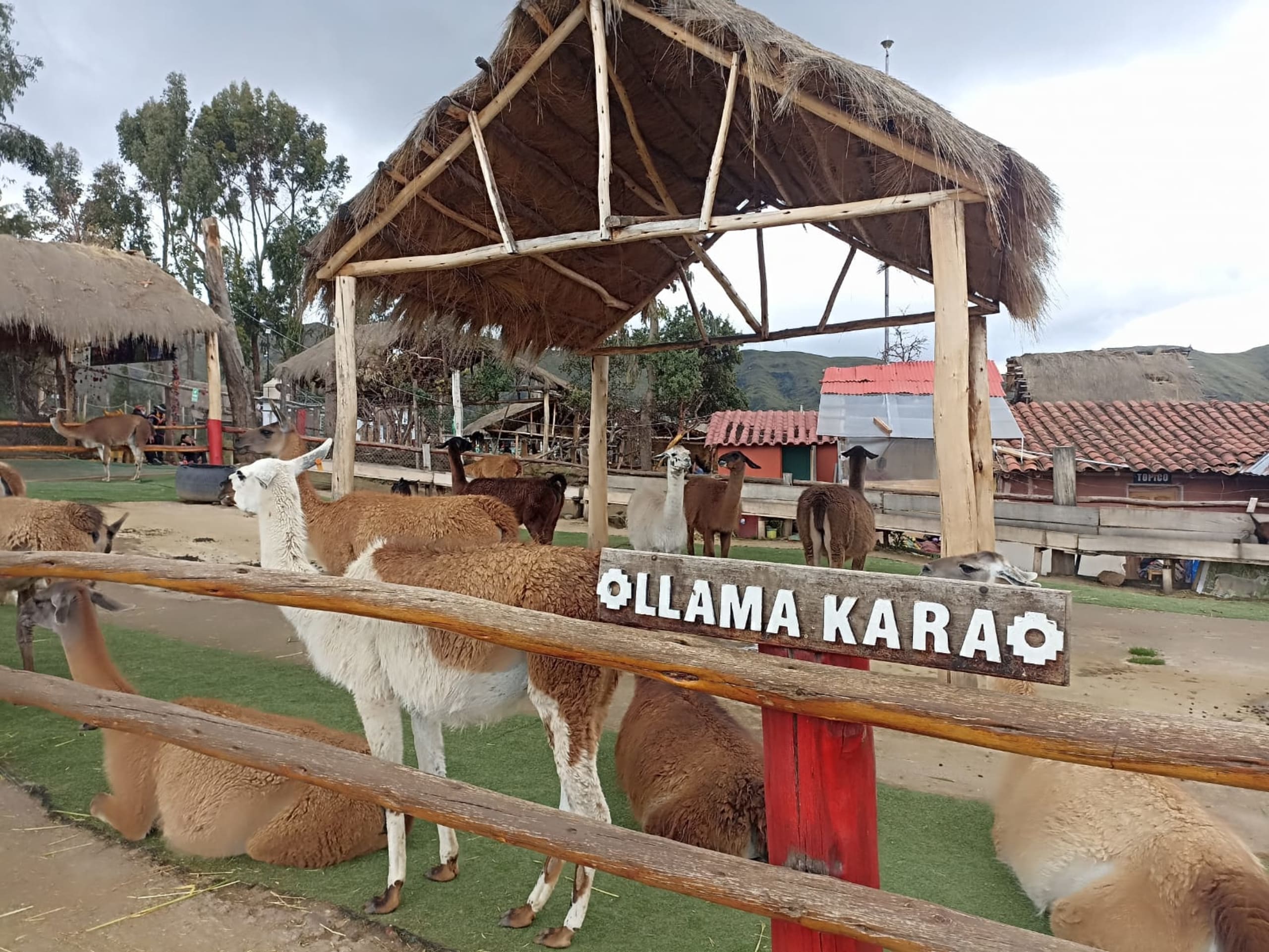 The Unique City Tour: Inca Trail, Alpacas & Ruins - 5