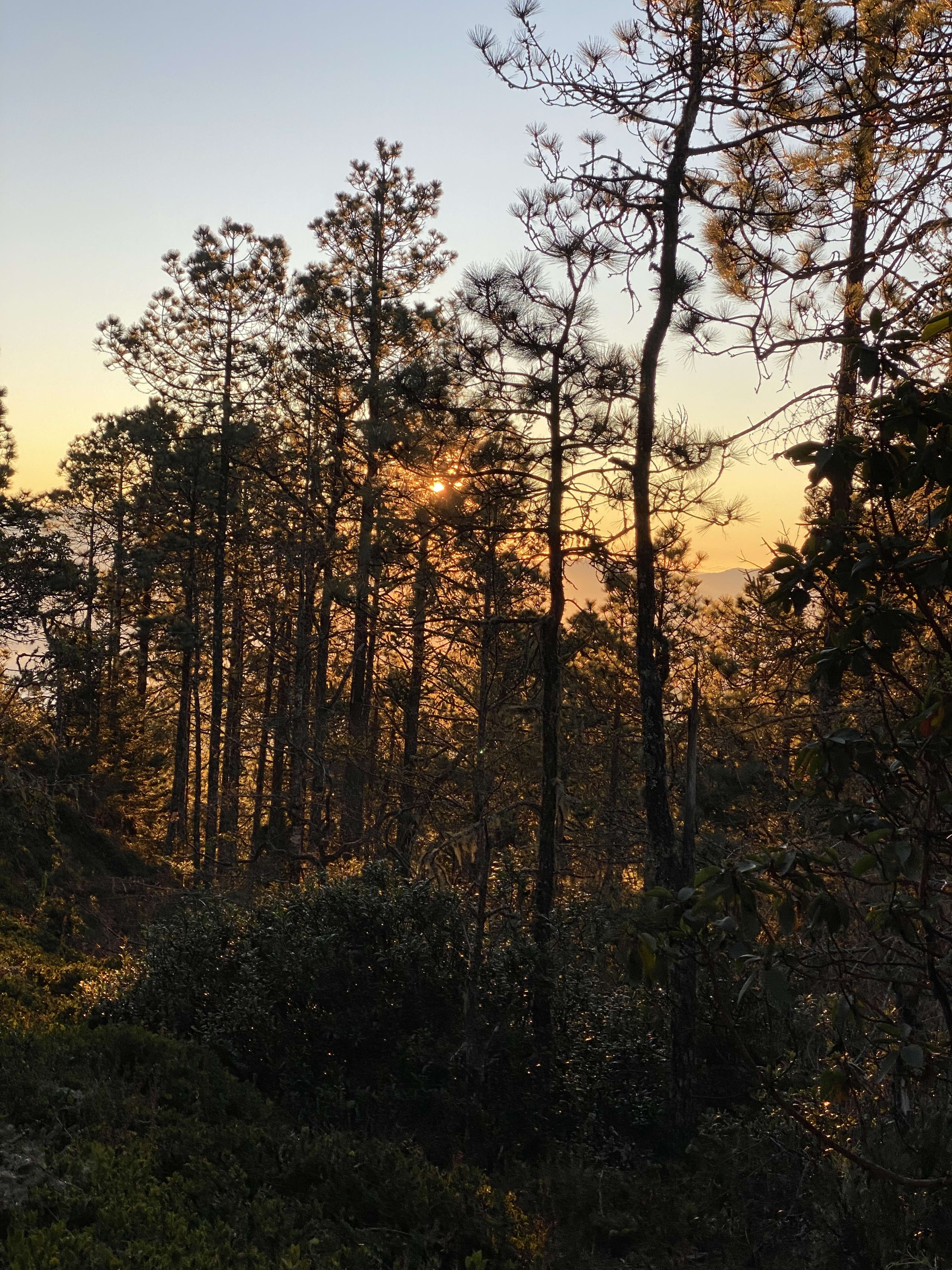 Oaxacan Mountain Metamorphosis Hike 2D/1N - 8