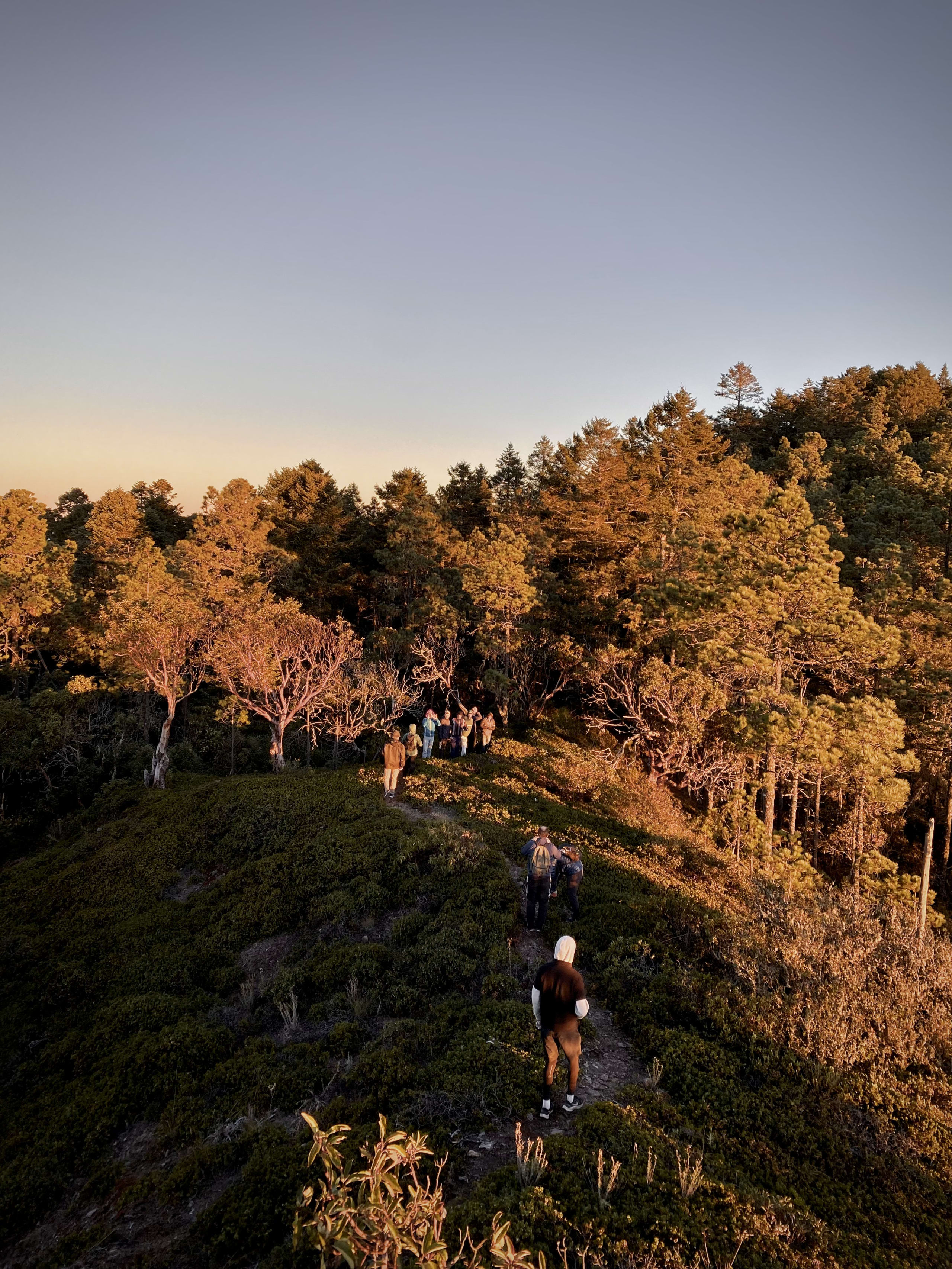 Oaxacan Mountain Metamorphosis Hike 2D/1N - 48