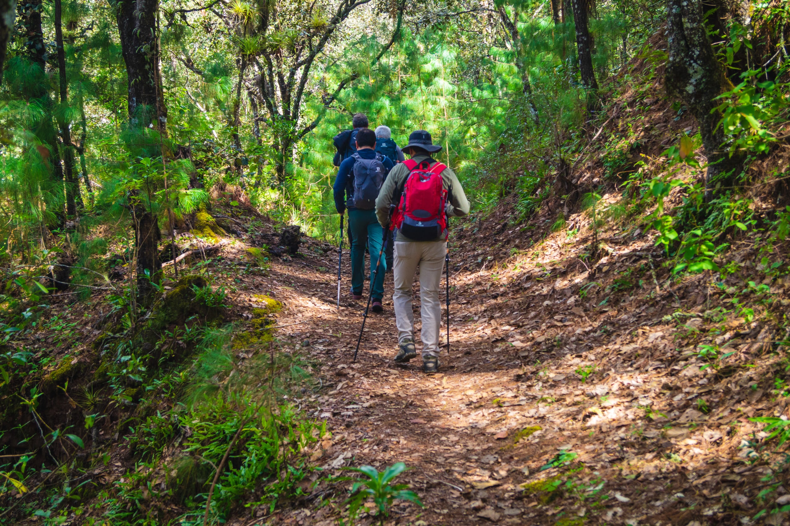 Oaxacan Mountain Metamorphosis Hike 2D/1N - 80