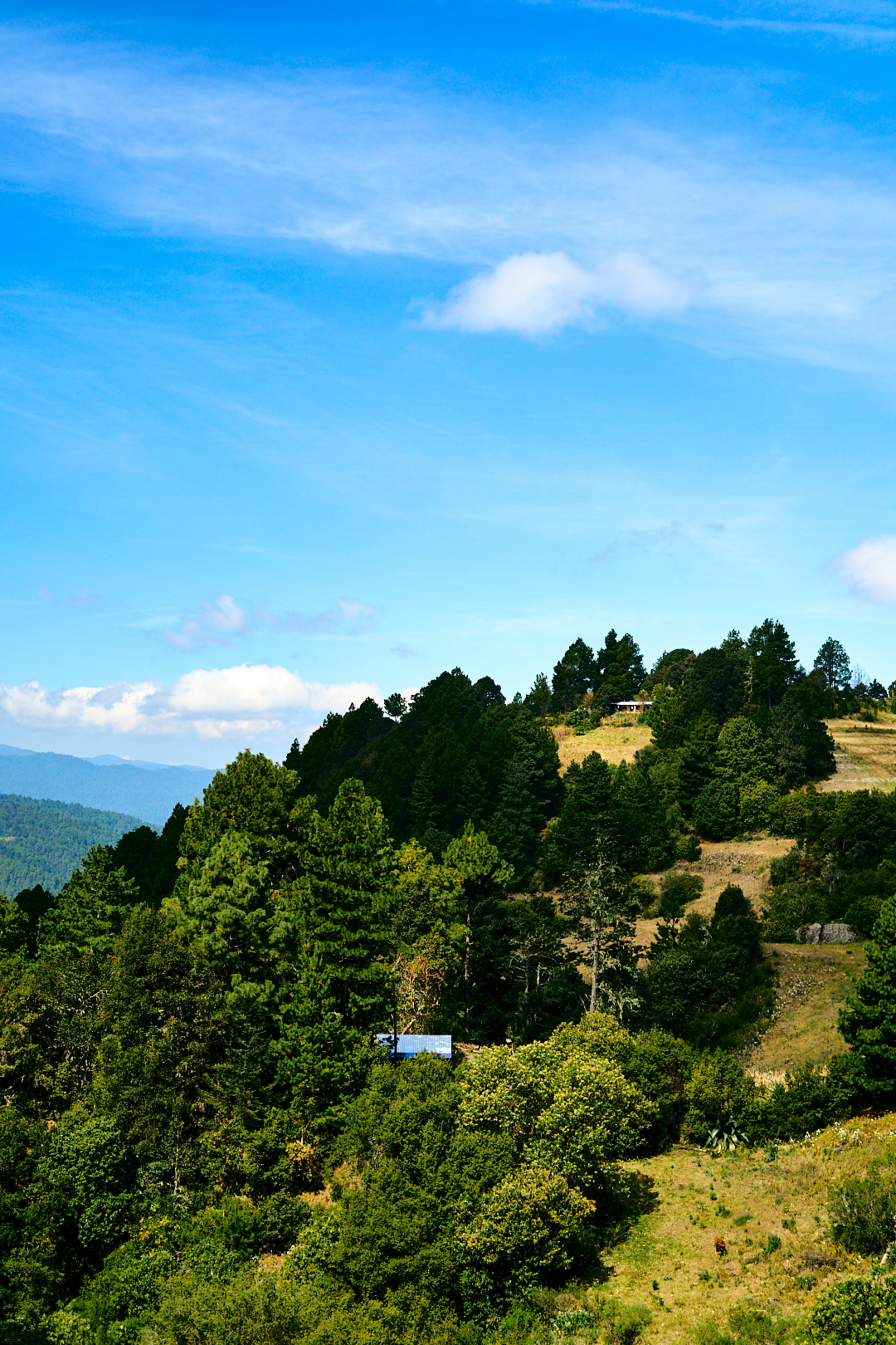 Oaxacan Mountain Metamorphosis Hike 2D/1N - 64