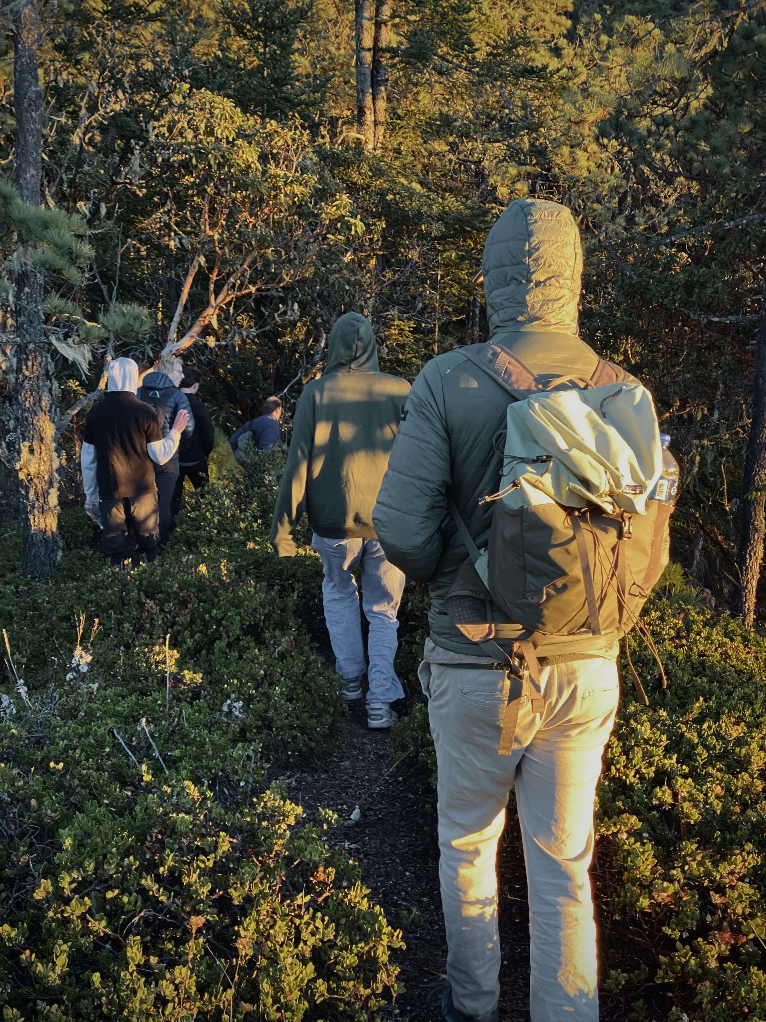 Oaxacan Mountain Metamorphosis Hike 2D/1N - 47