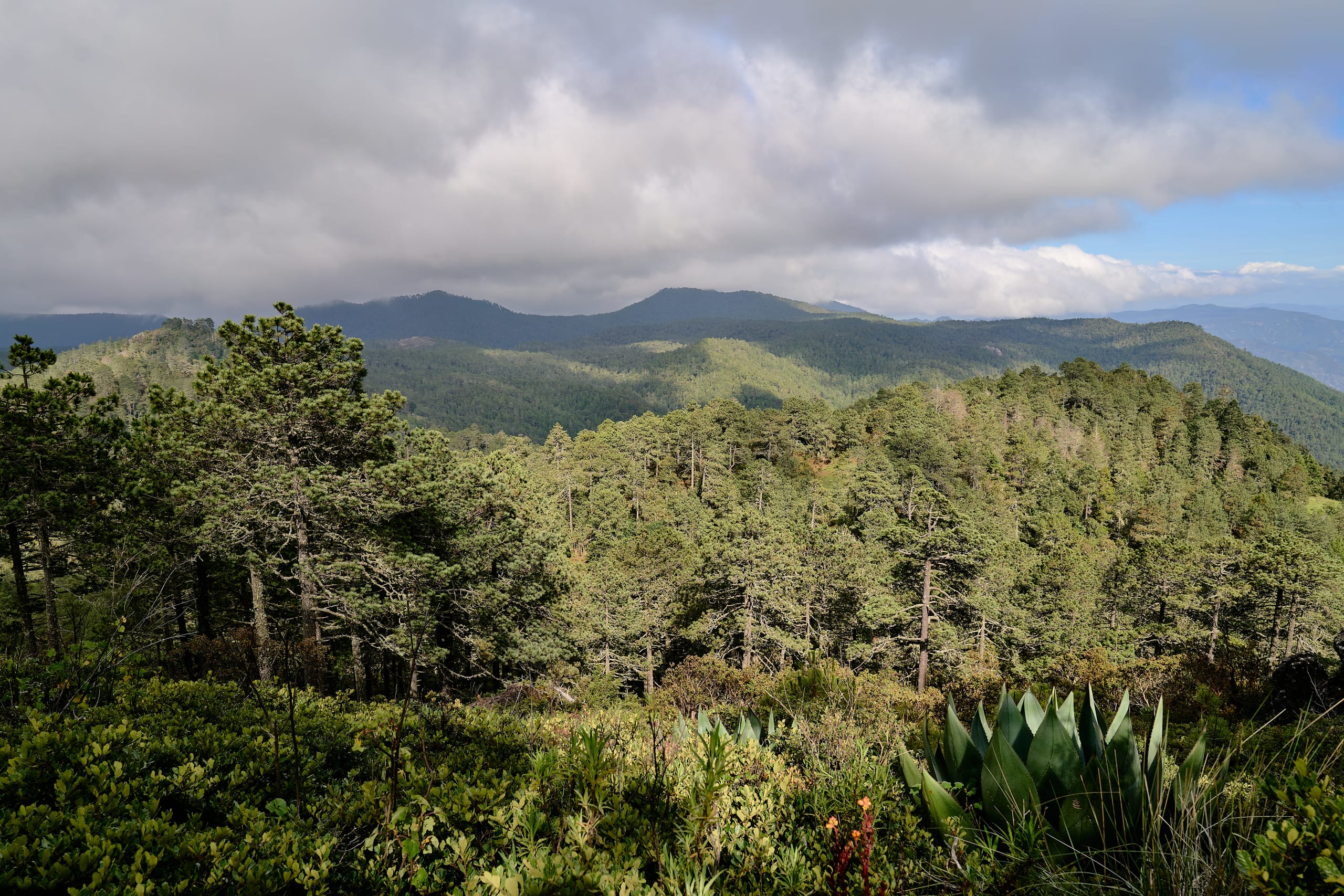 Oaxacan Mountain Metamorphosis Hike 2D/1N - 74