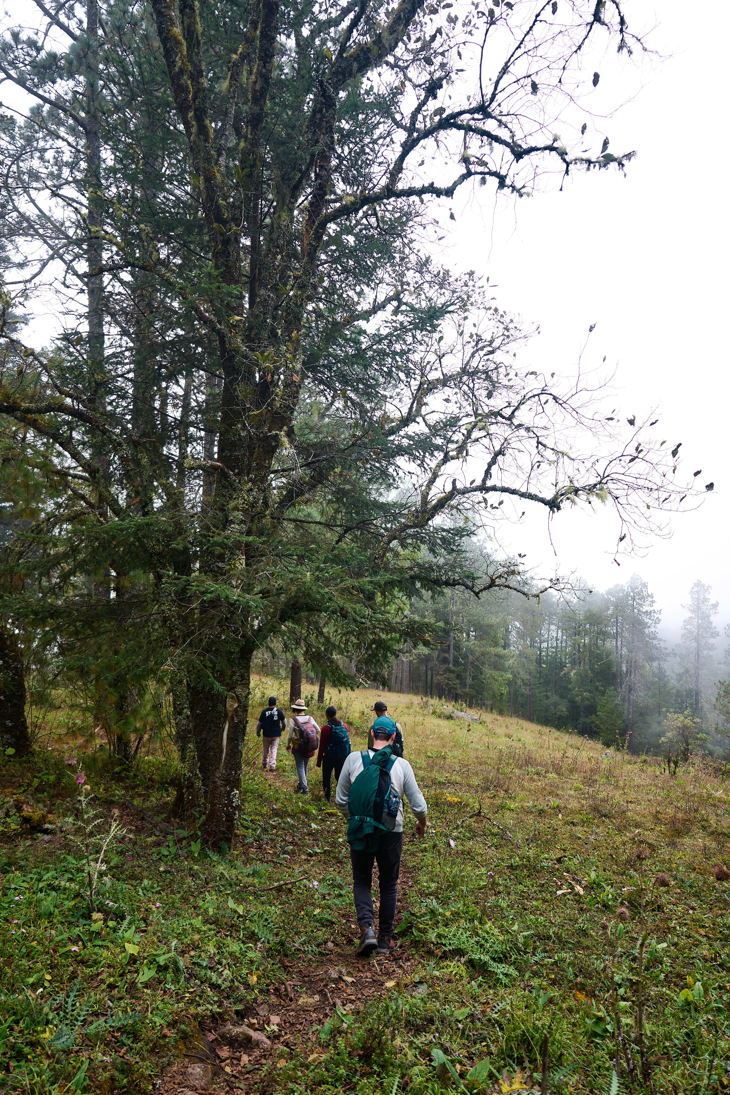 Oaxacan Mountain Metamorphosis Hike 2D/1N - 20