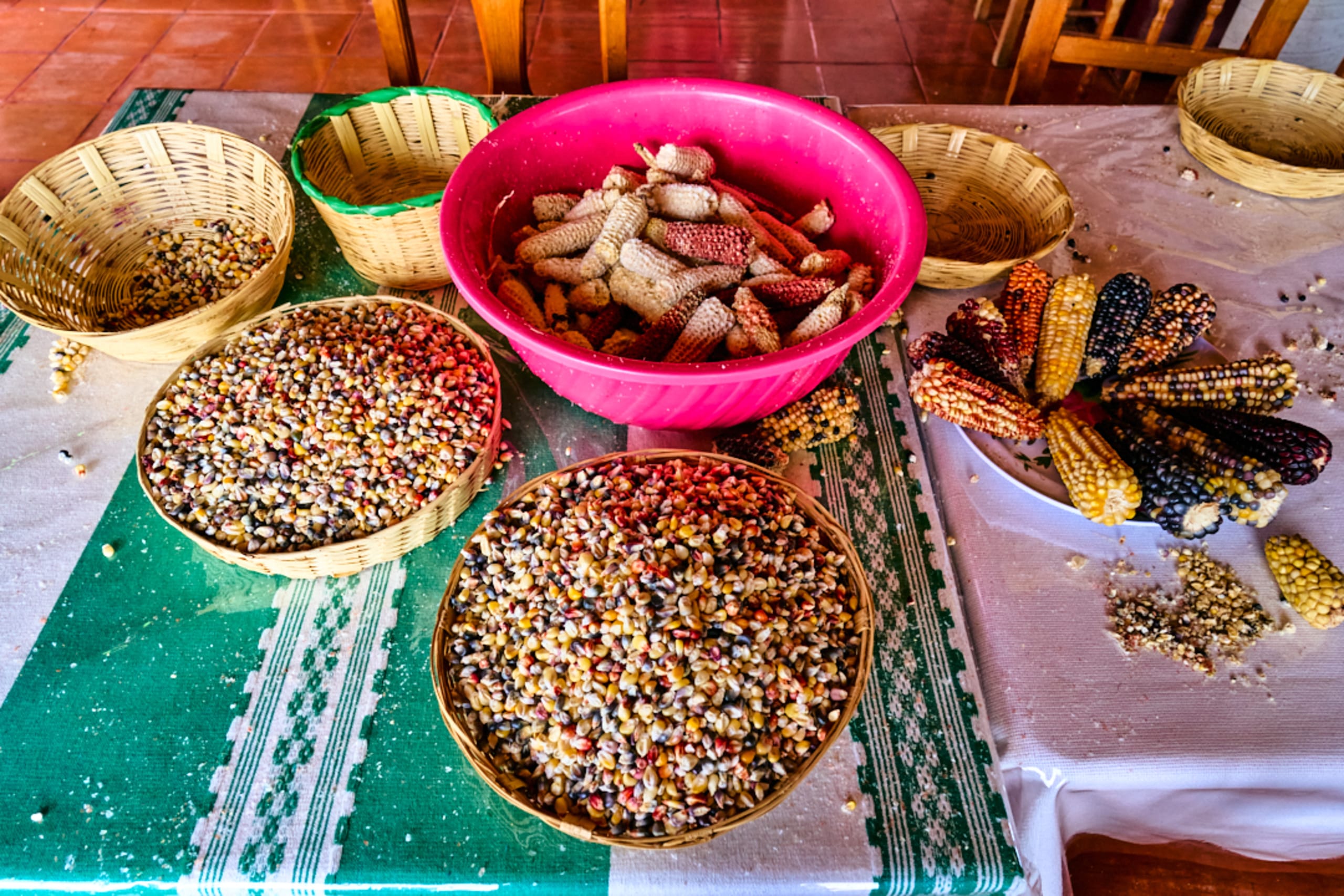 Oaxacan Mountain Metamorphosis Hike 2D/1N - 16