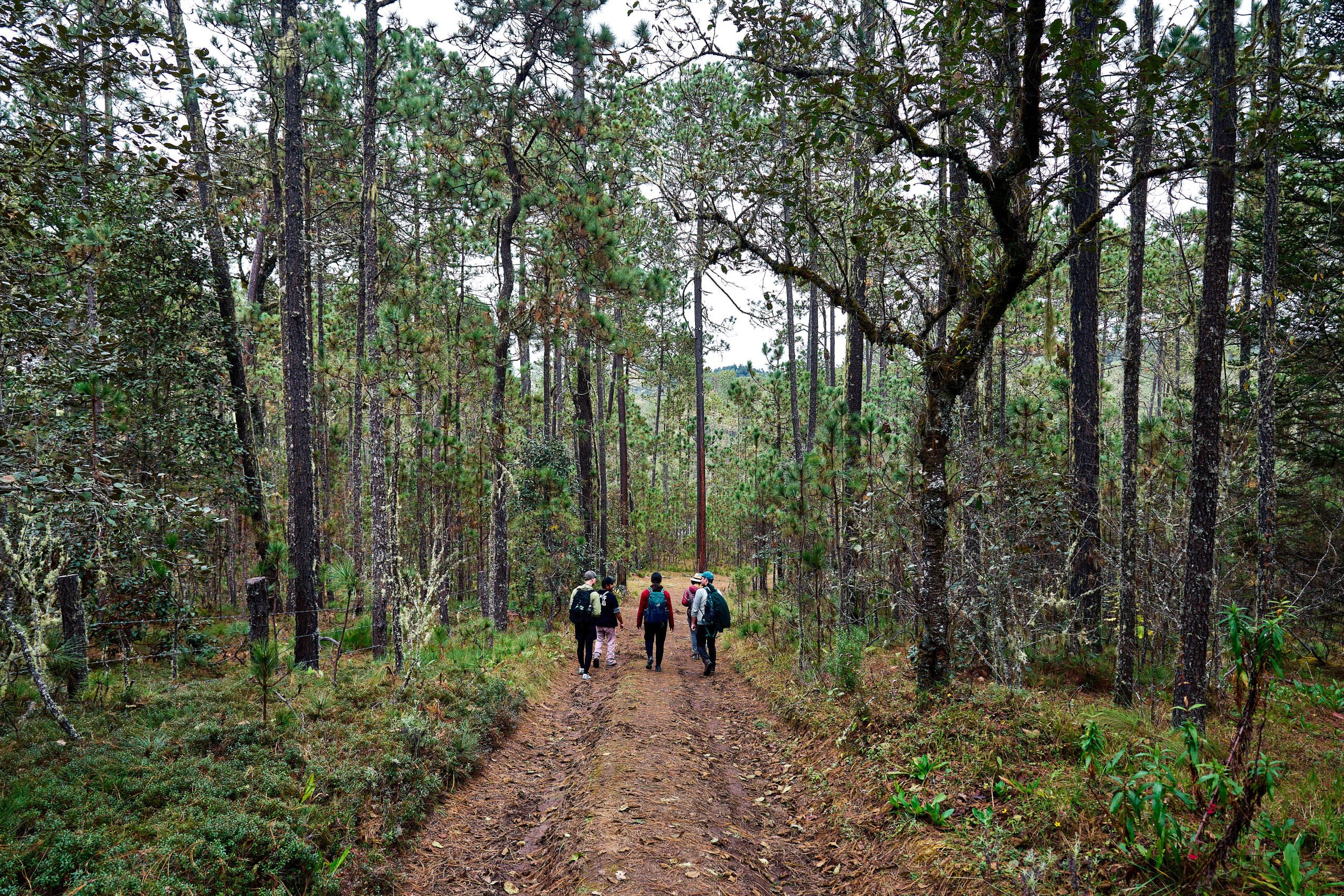 The Enchanting Sierra Norte Trek 3D/2N - 67