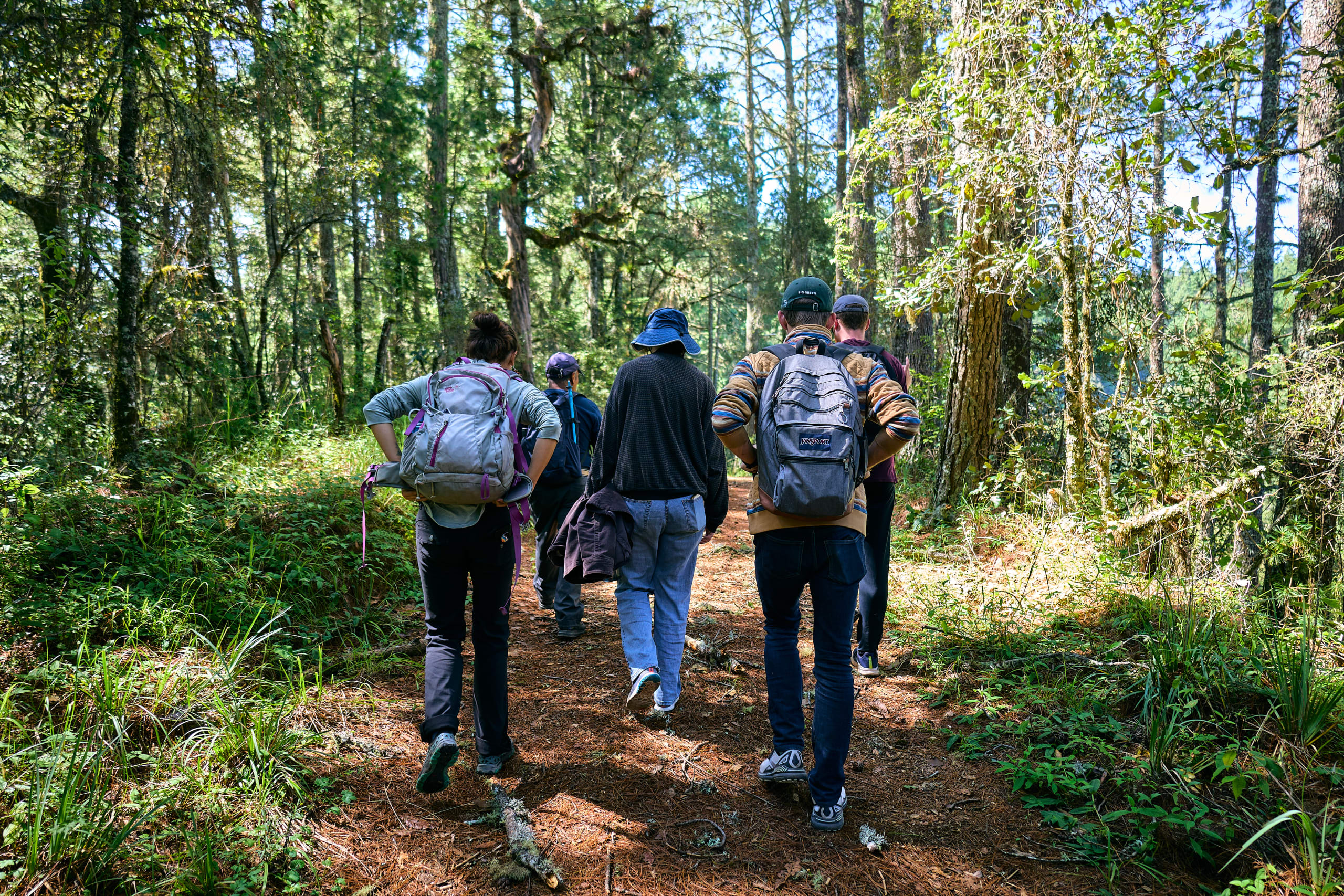 The Enchanting Sierra Norte Trek 3D/2N - 75