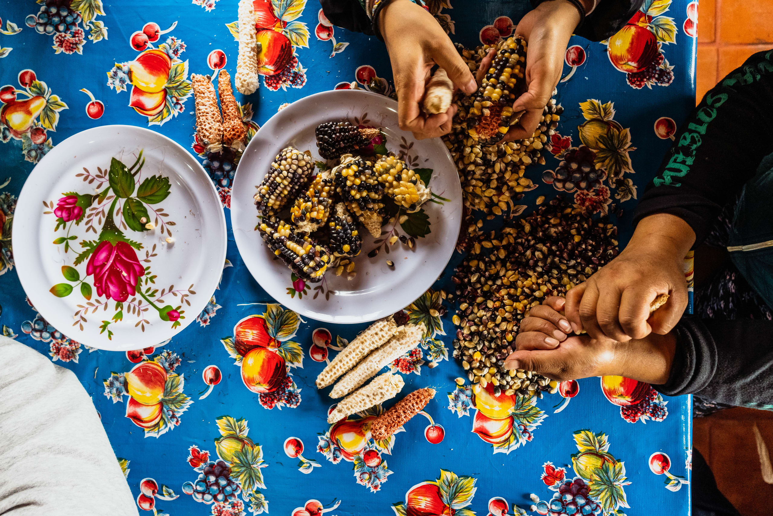 The Enchanting Sierra Norte Trek 3D/2N - 73