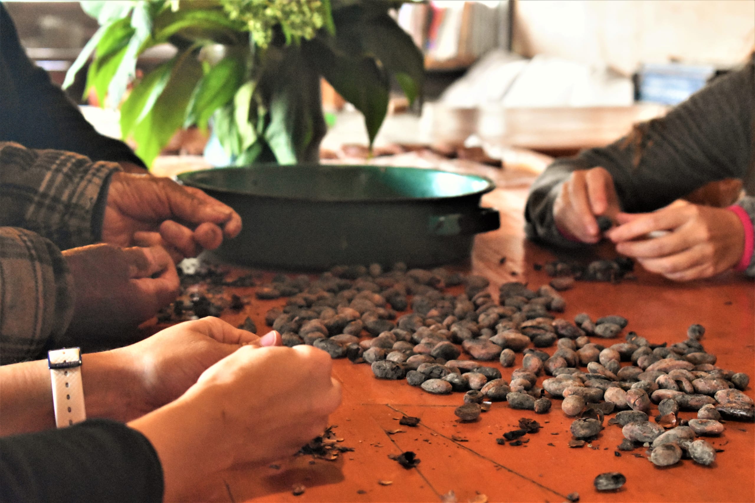 The Enchanting Sierra Norte Trek 3D/2N - 104