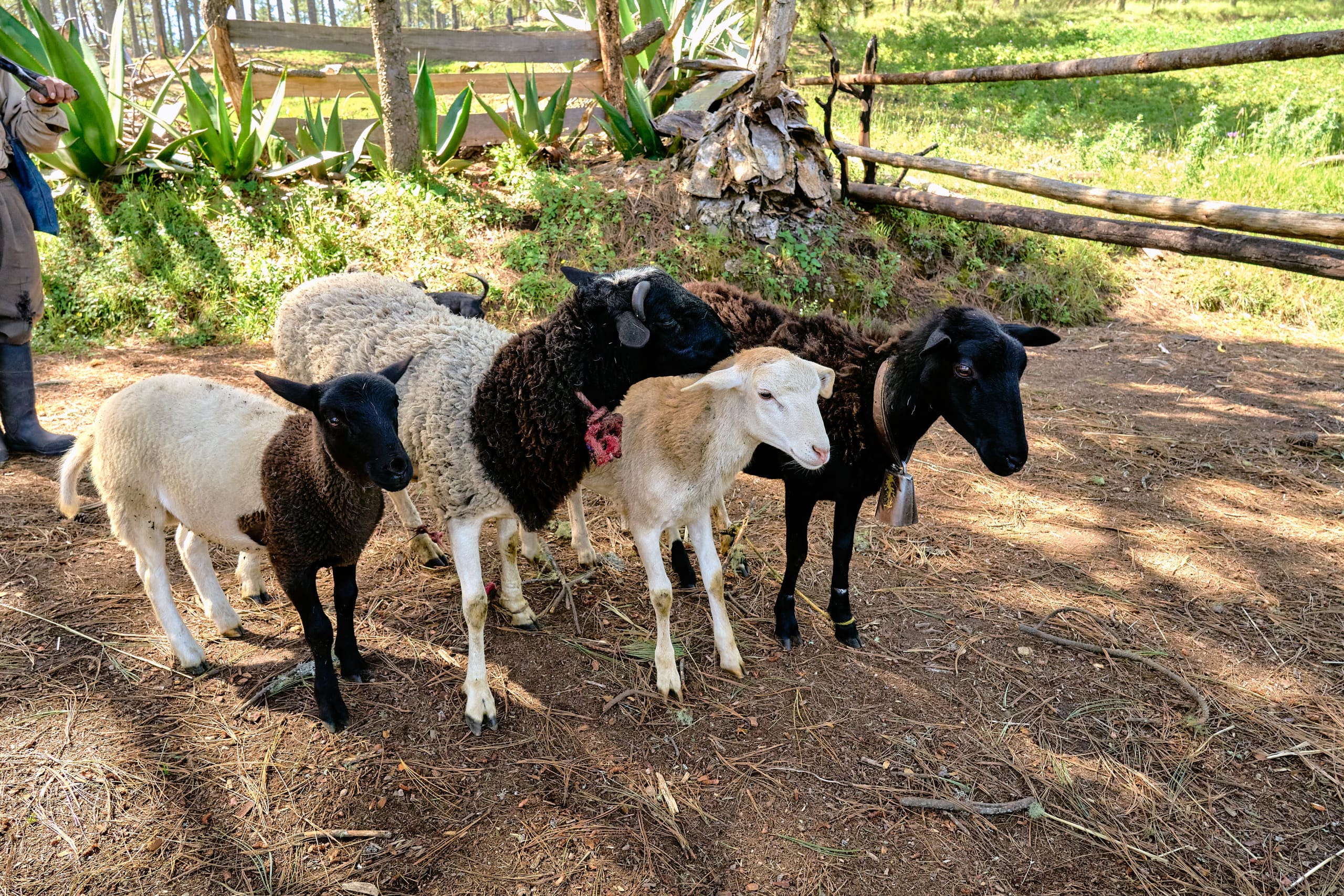 The Enchanting Sierra Norte Trek 3D/2N - 82