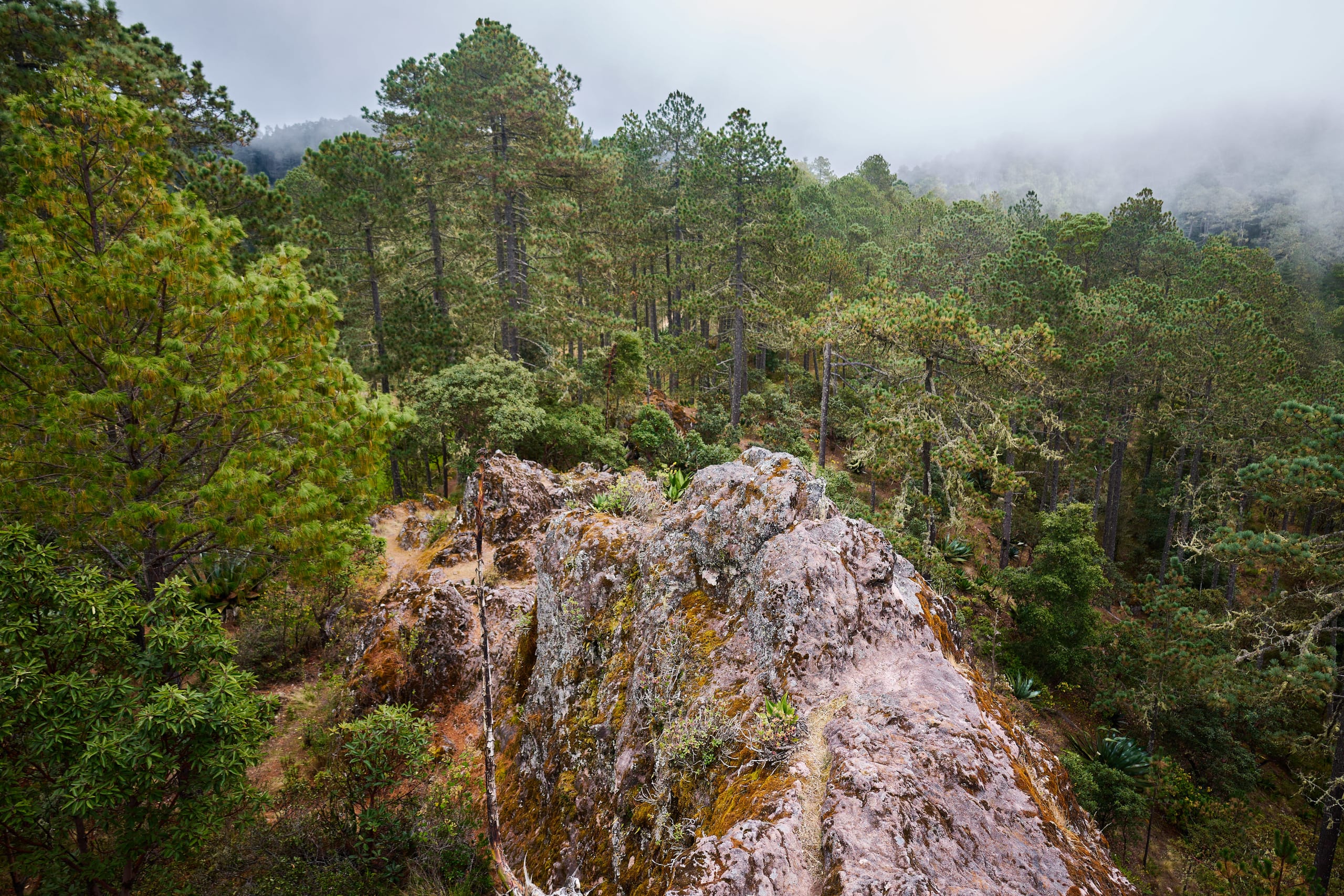 The Enchanting Sierra Norte Trek 3D/2N - 58