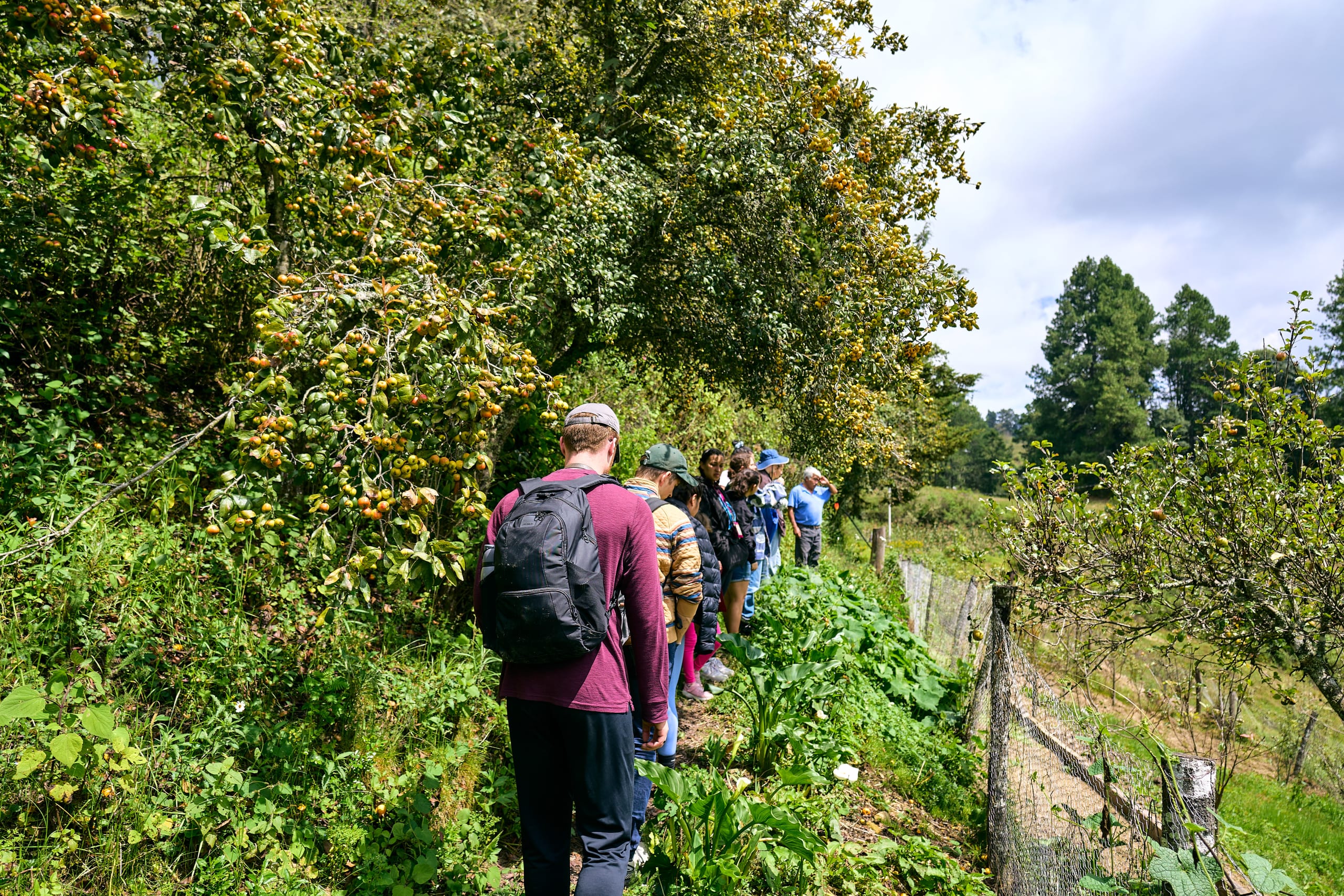 The Enchanting Sierra Norte Trek 3D/2N - 33