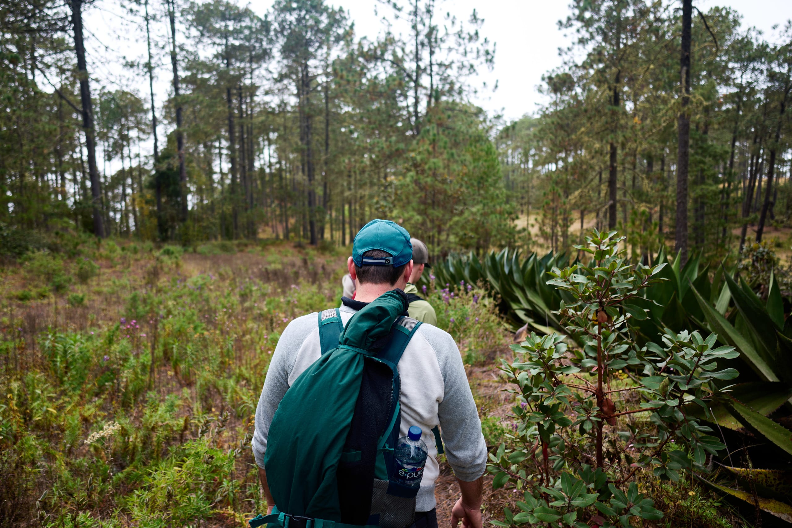 The Enchanting Sierra Norte Trek 3D/2N - 57