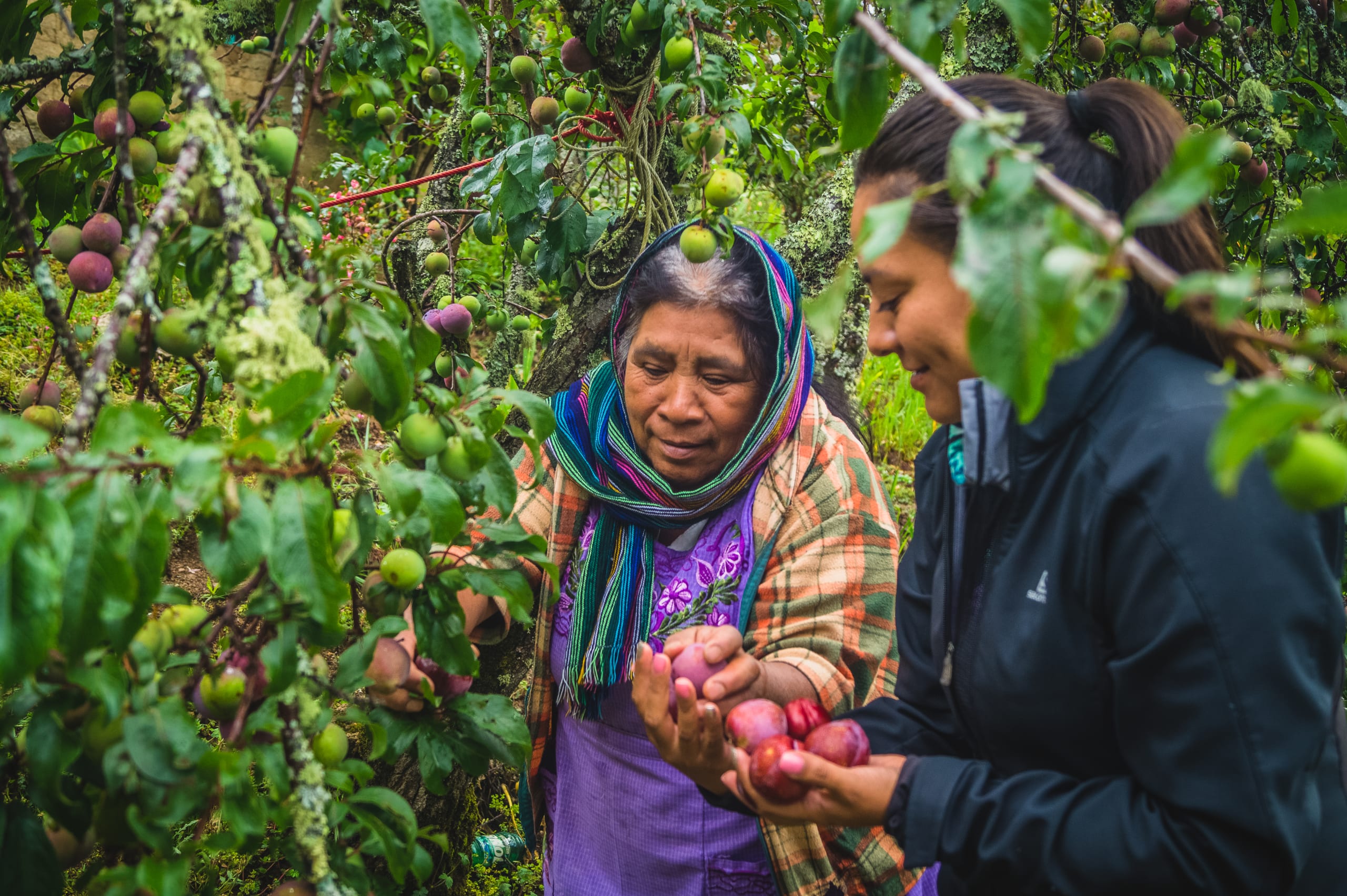 The Enchanting Sierra Norte Trek 3D/2N - 89