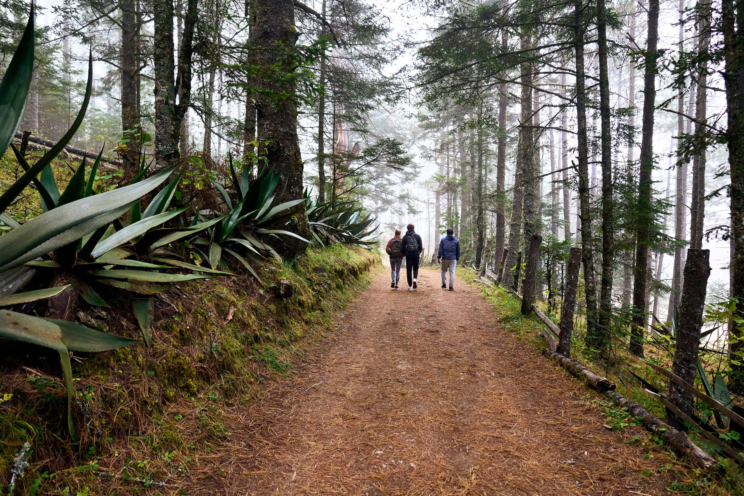 The Enchanting Sierra Norte Trek 3D/2N - 8