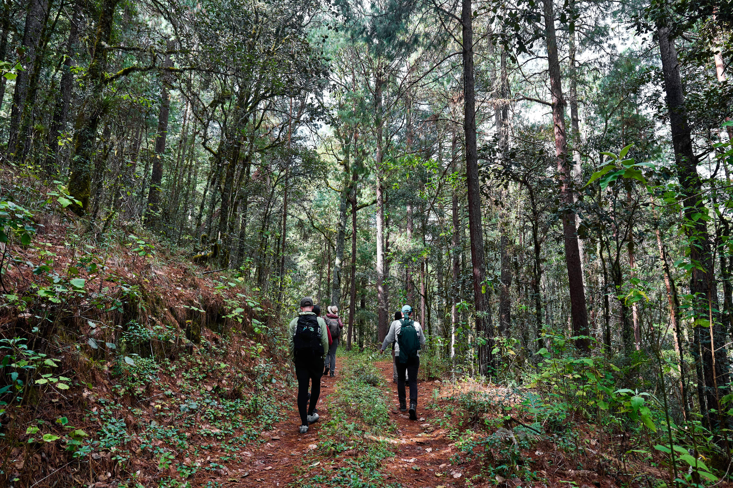 The Enchanting Sierra Norte Trek 3D/2N - 77