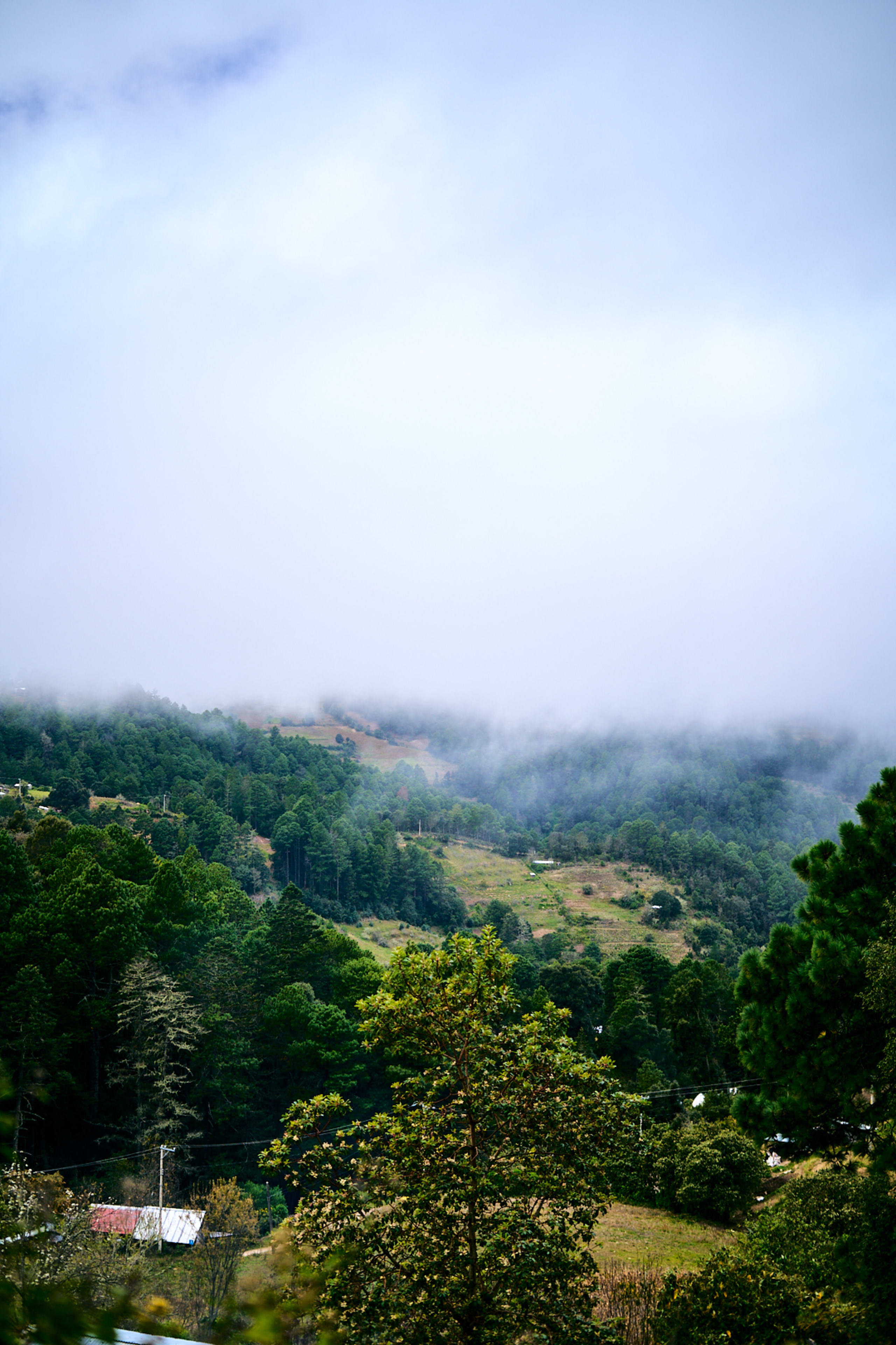 The Enchanting Sierra Norte Trek 3D/2N - 45