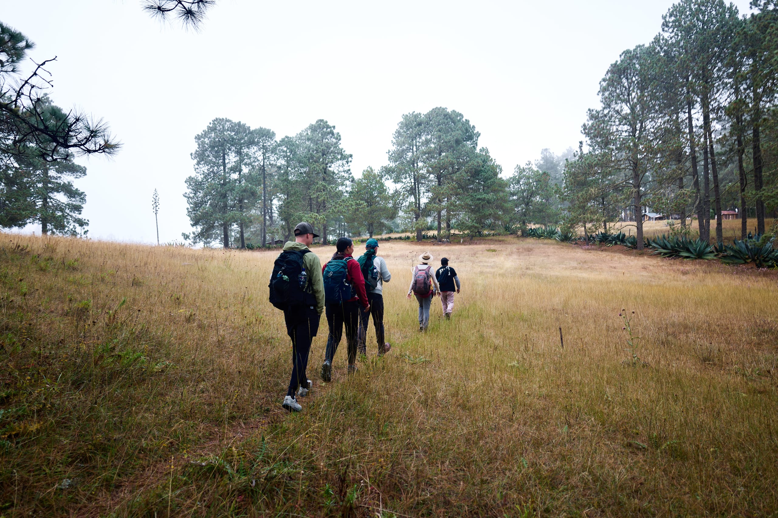 The Enchanting Sierra Norte Trek 3D/2N - 55