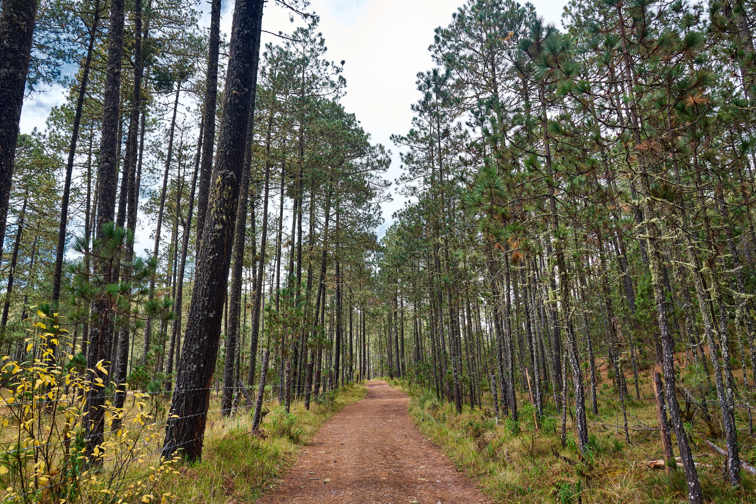 The Enchanting Sierra Norte Trek 3D/2N - 76