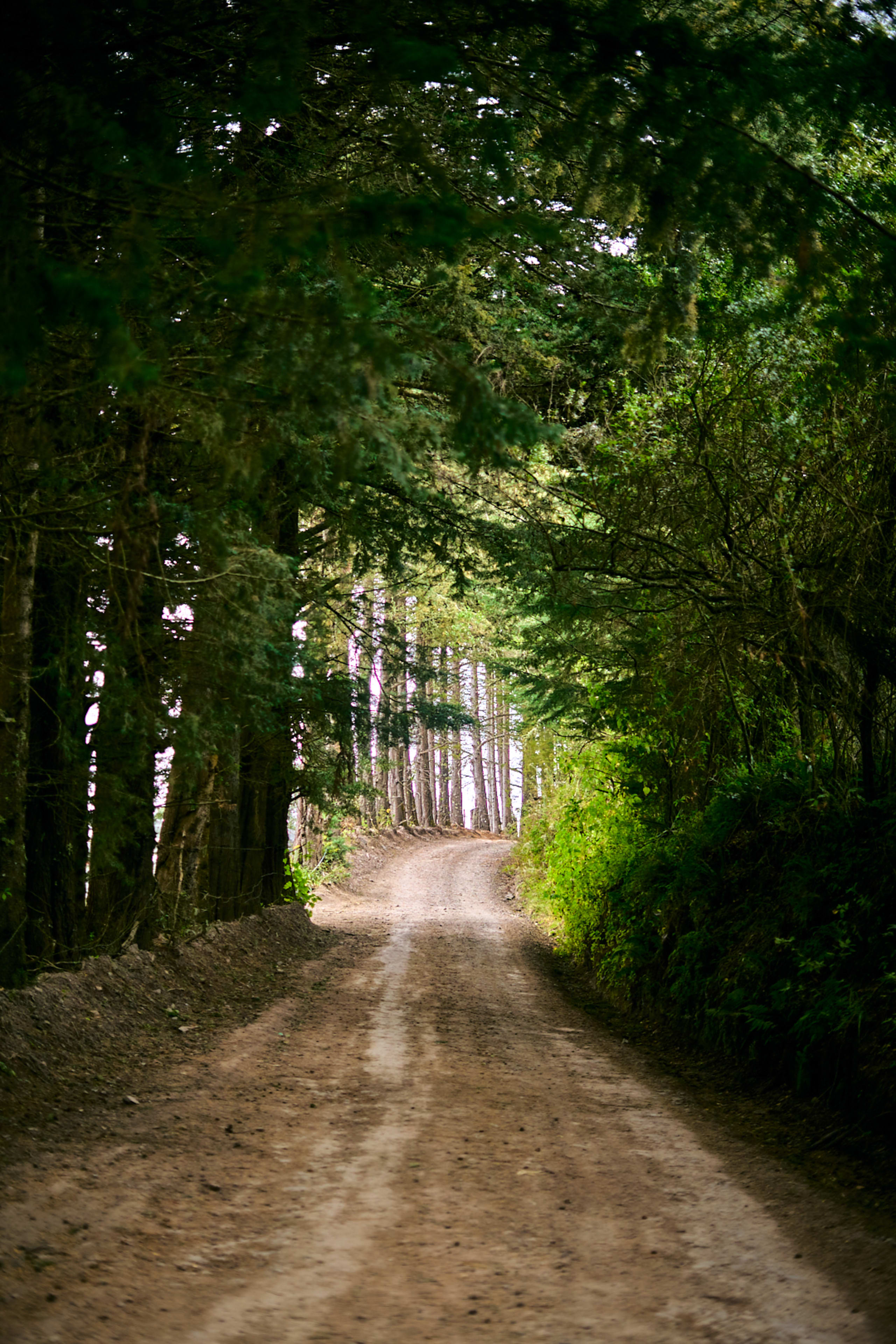 The Enchanting Sierra Norte Trek 3D/2N - 48