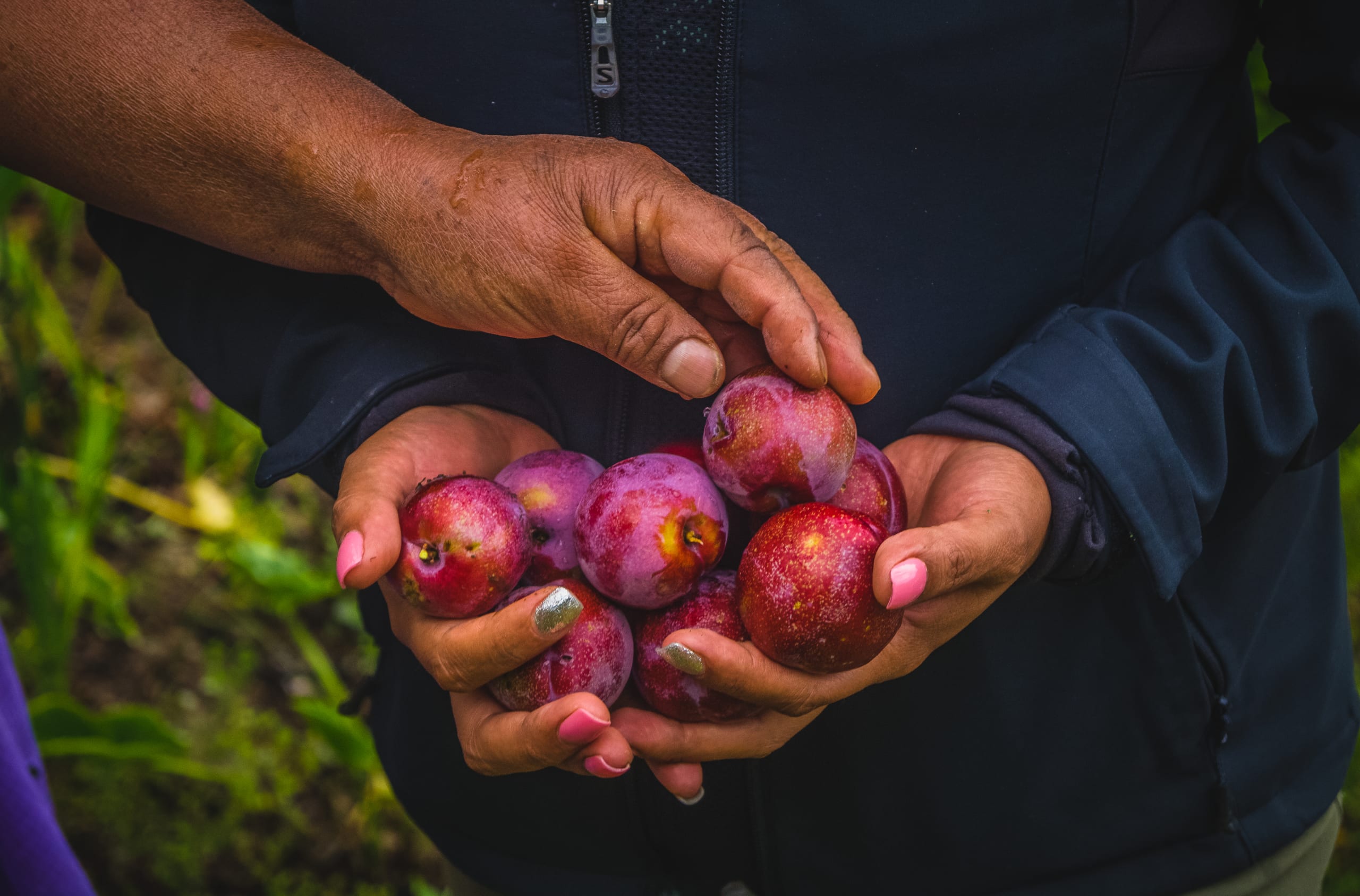 The Enchanting Sierra Norte Trek 3D/2N - 90