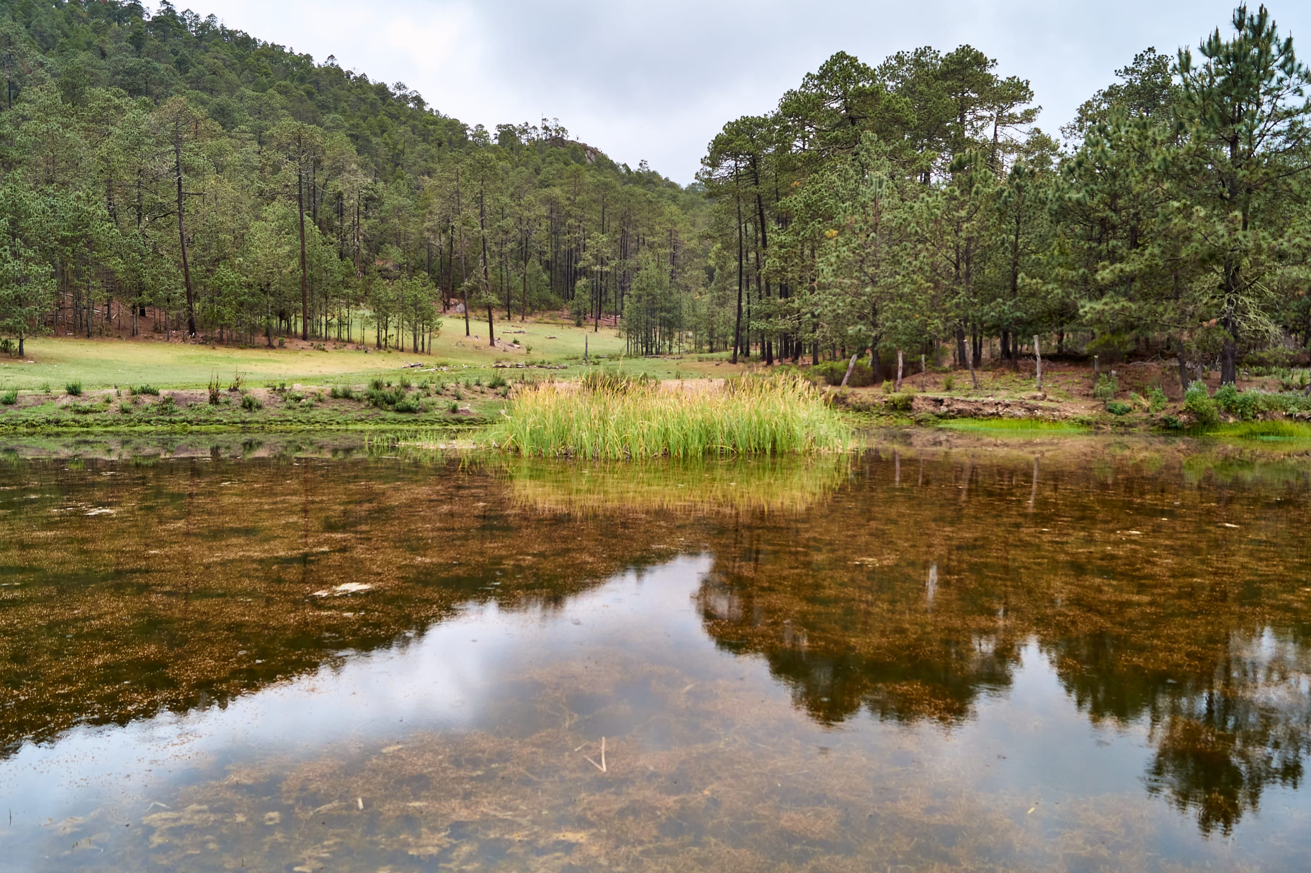The Enchanting Sierra Norte Trek 3D/2N - 17