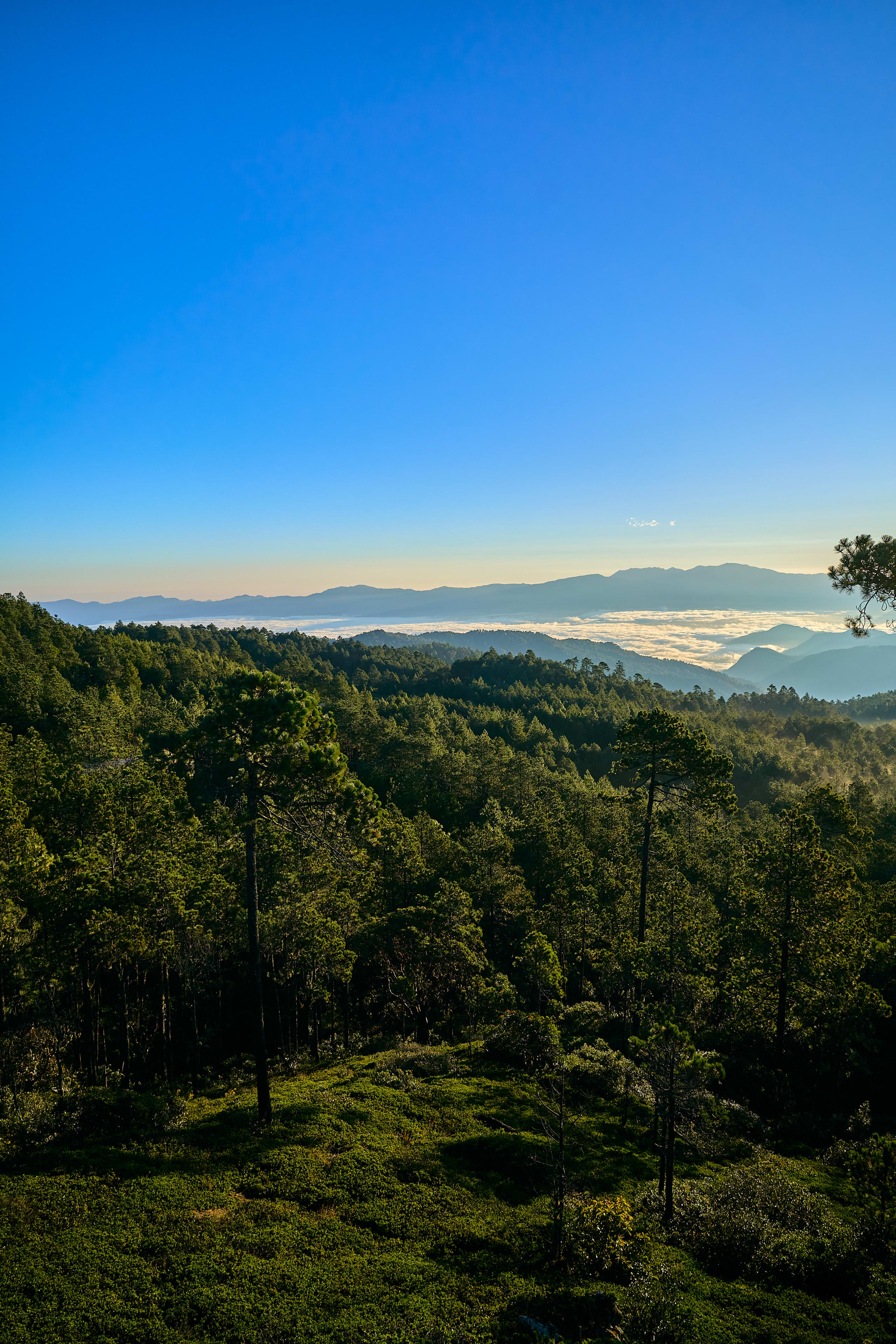 The Enchanting Sierra Norte Trek 3D/2N - 38