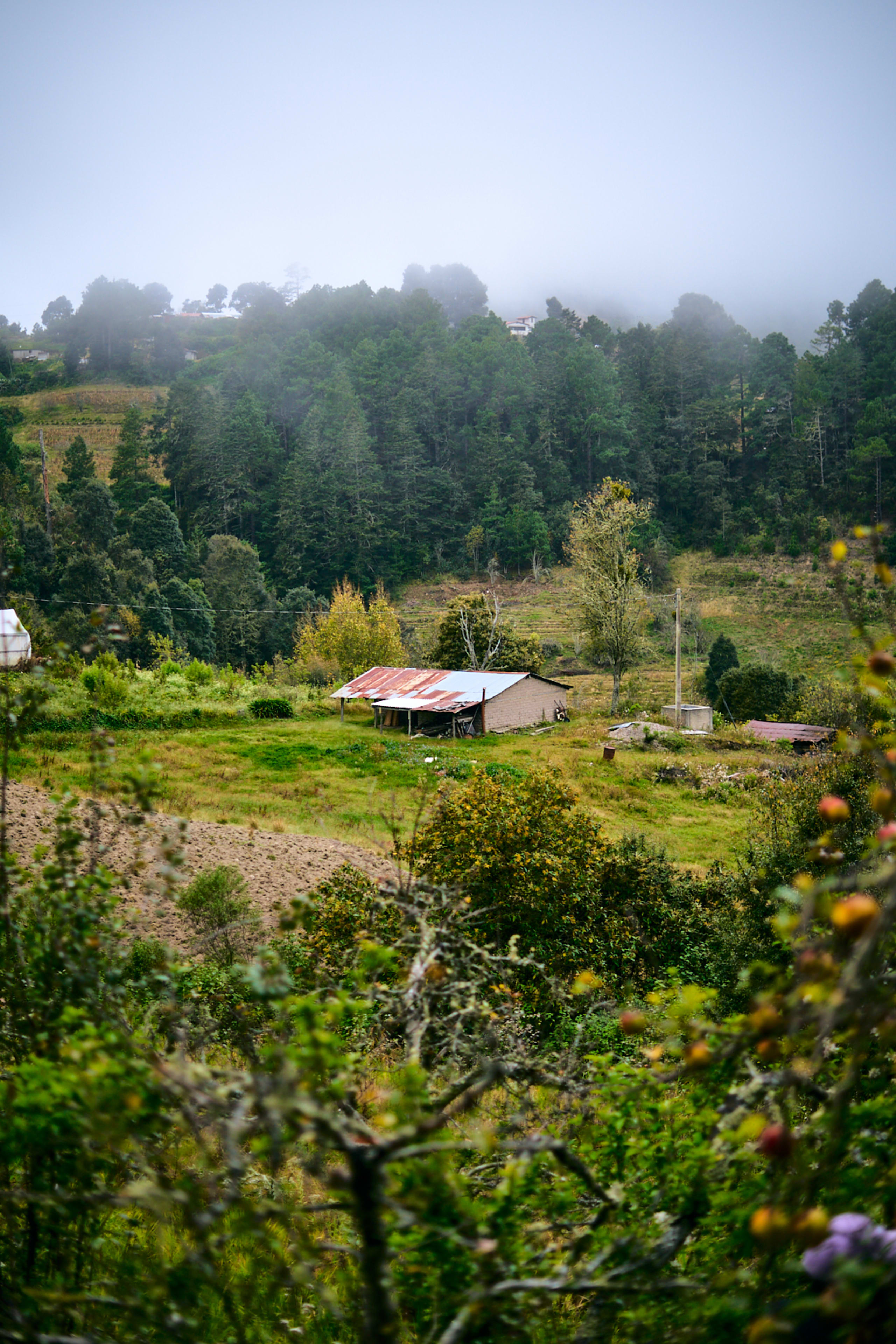 Embark on the Enchanting Zapotec Trails 4D/3N - 4