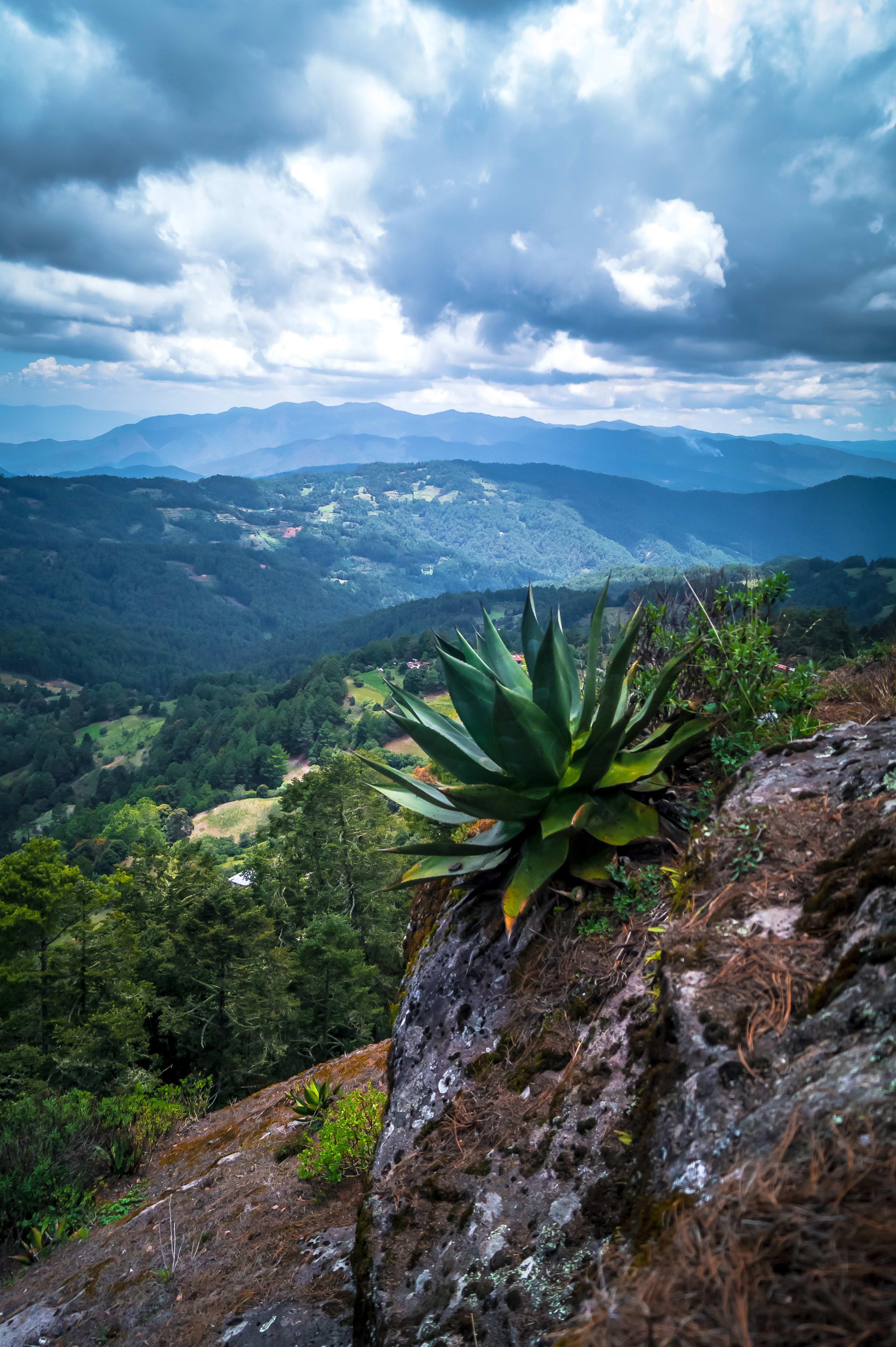 Embark on the Enchanting Zapotec Trails 4D/3N - 7