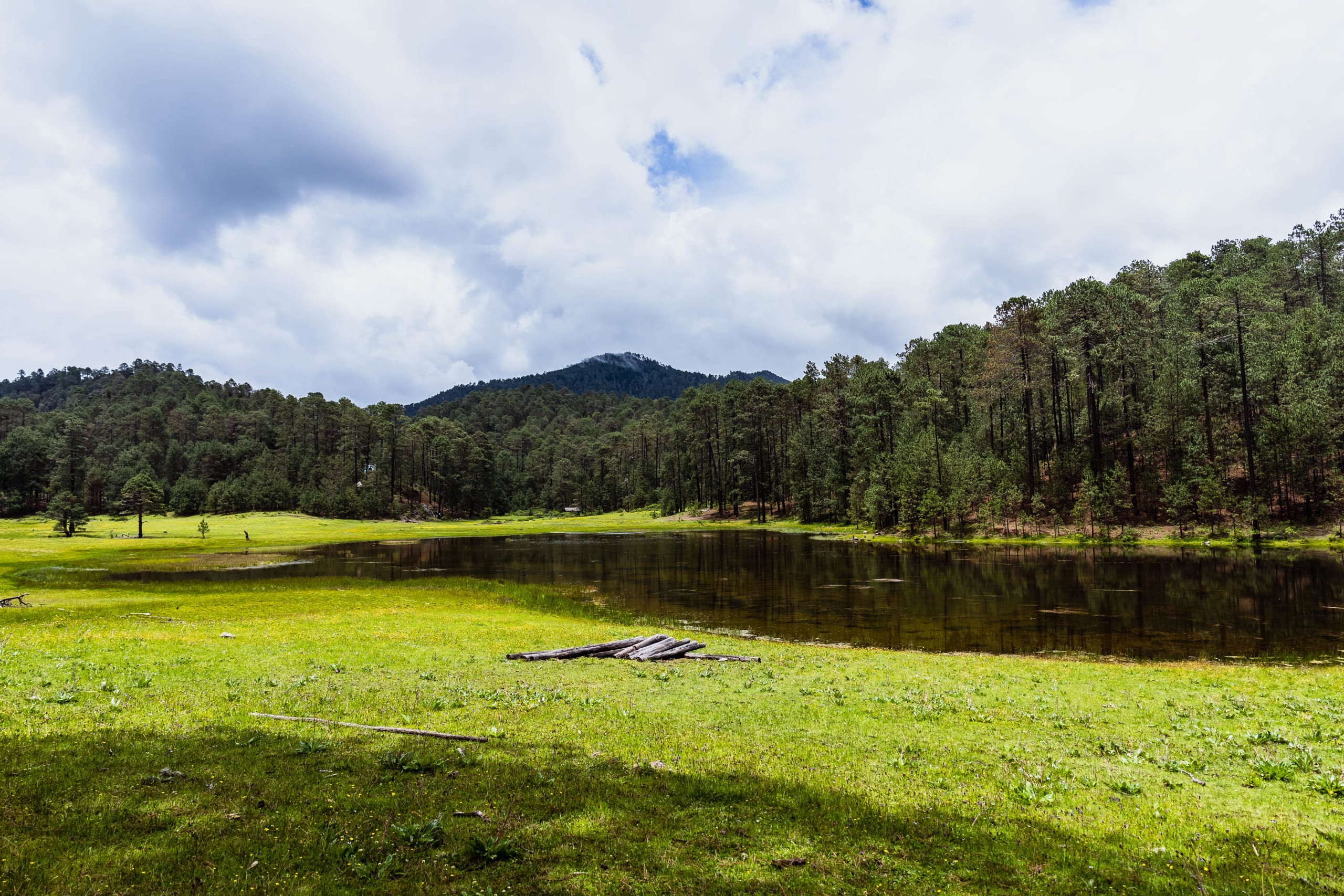 Embark on the Enchanting Zapotec Trails 4D/3N - 8