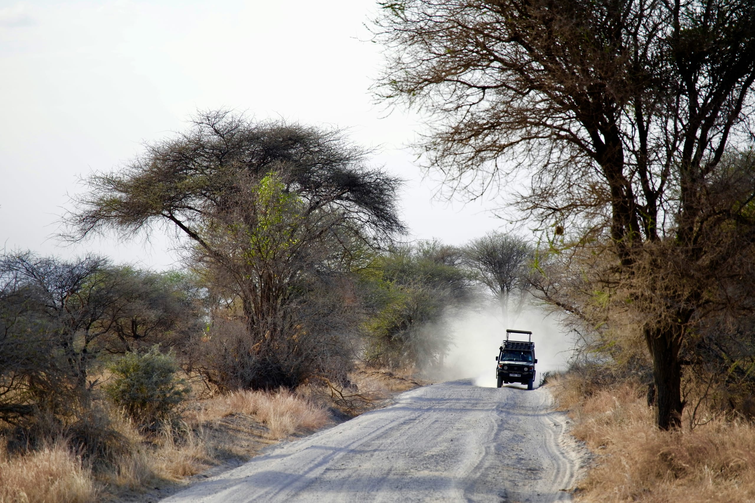 Highlights of Tanzania Safari 5D/4N (Tarangire, Serengeti & Ngorongoro) - 19