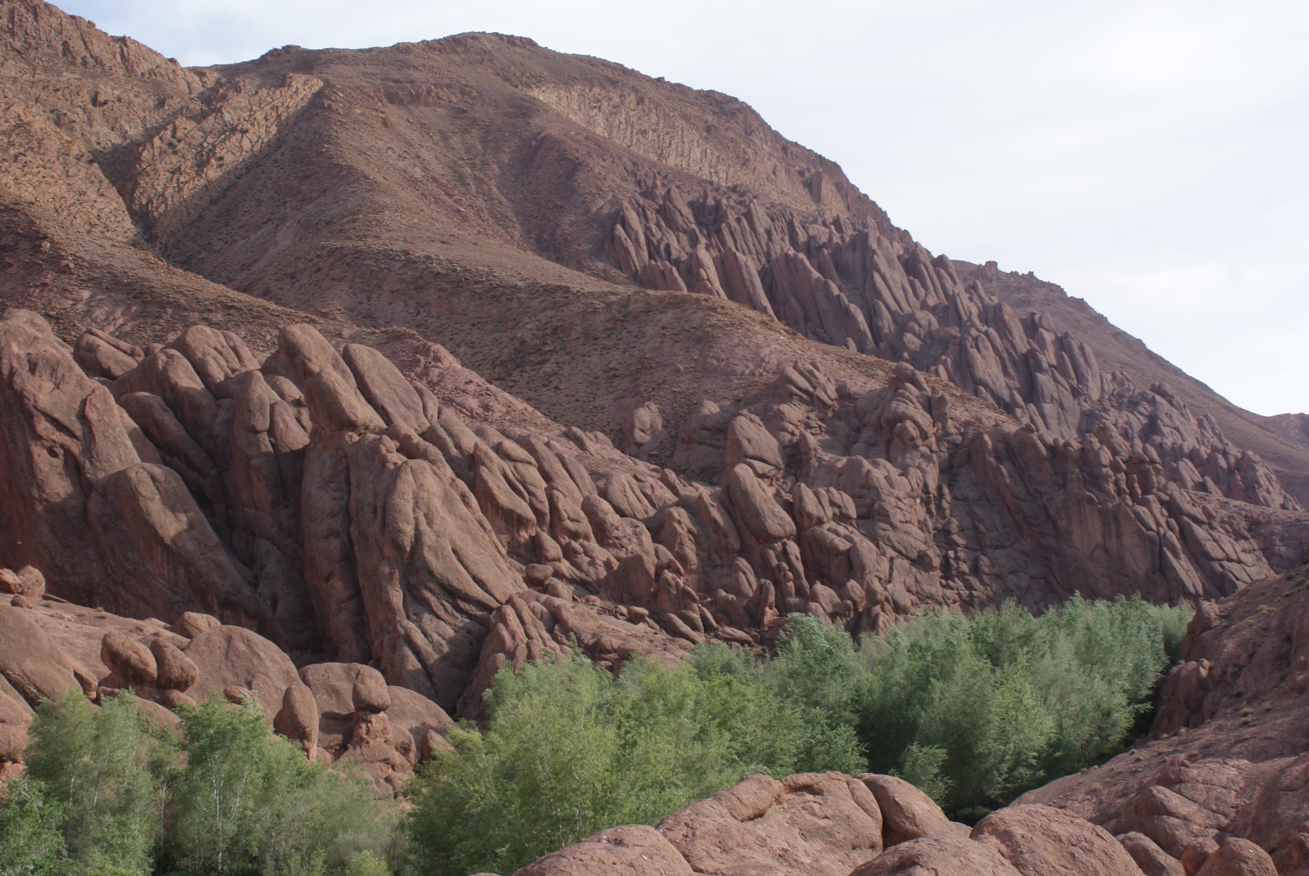 Morocco Honeymoon Journey: Marrakech, Sahara, Chefchaouen - 20