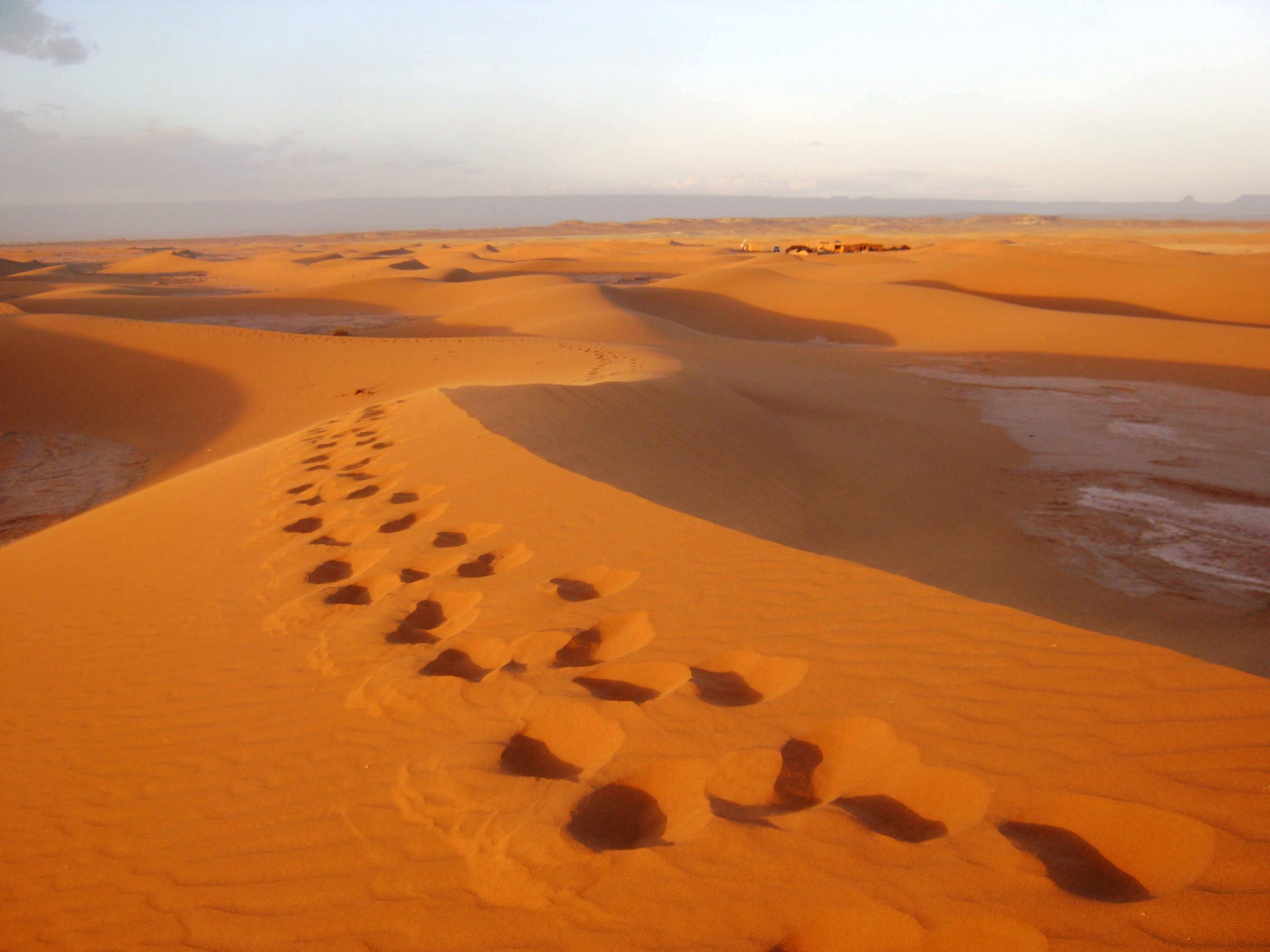 Morocco Honeymoon Journey: Marrakech, Sahara, Chefchaouen - 22