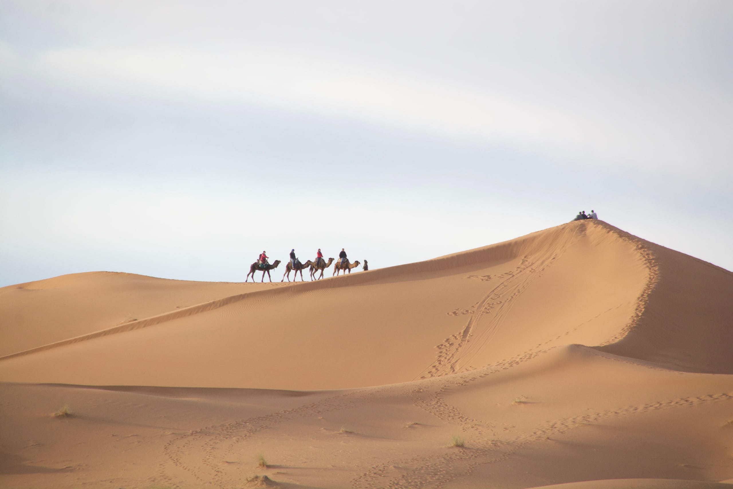 Morocco Honeymoon Journey: Marrakech, Sahara, Chefchaouen - 30