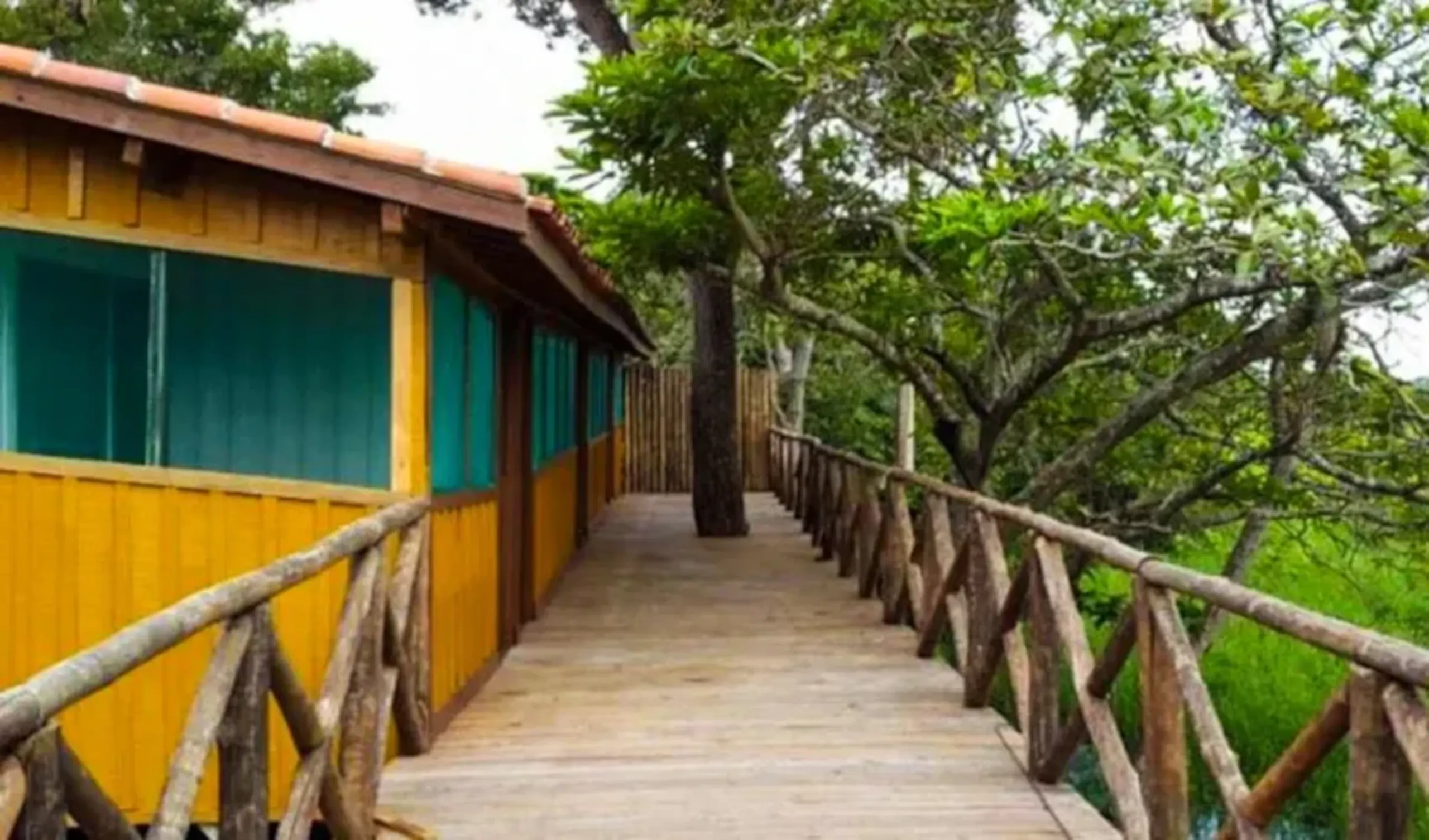 Pantanal Adventure 4D/3N - 14