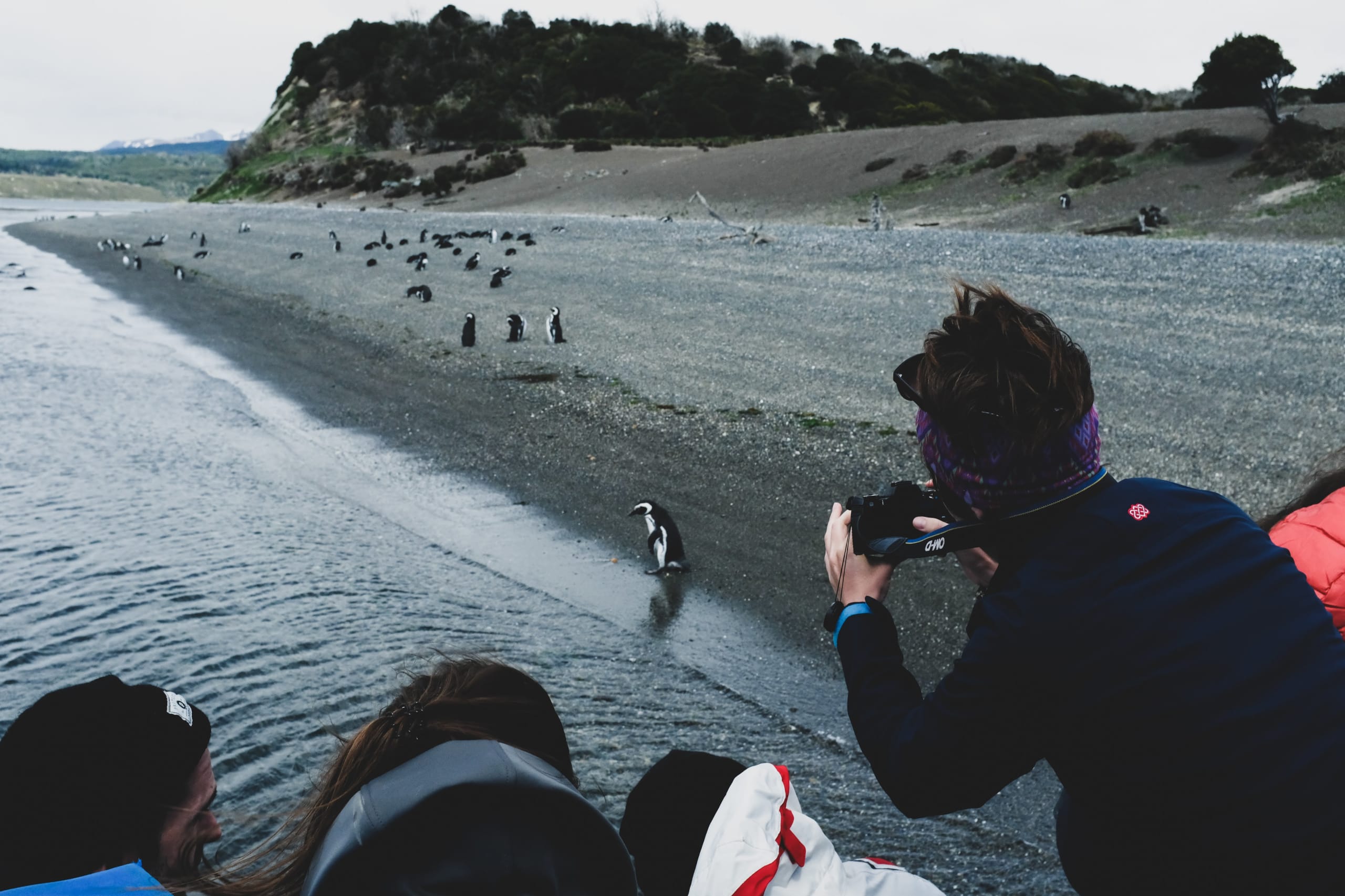 Ushuaia Adventure: Patagonia Nature & Beagle Channel - 10