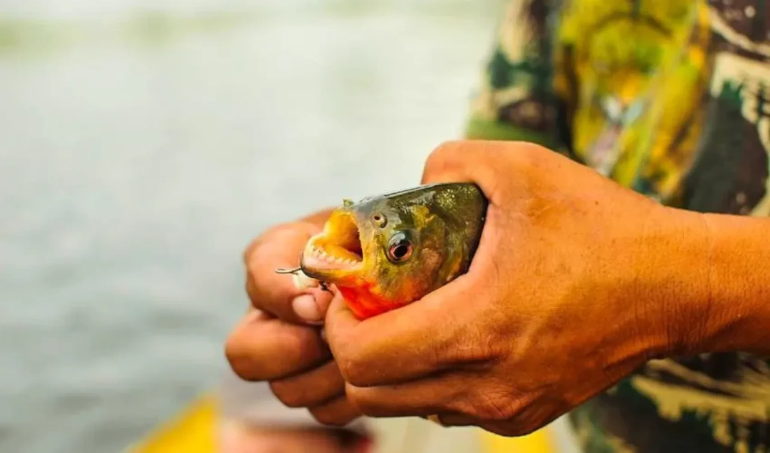 Manaus Amazon Jungle Adventure 5D/4N - 36