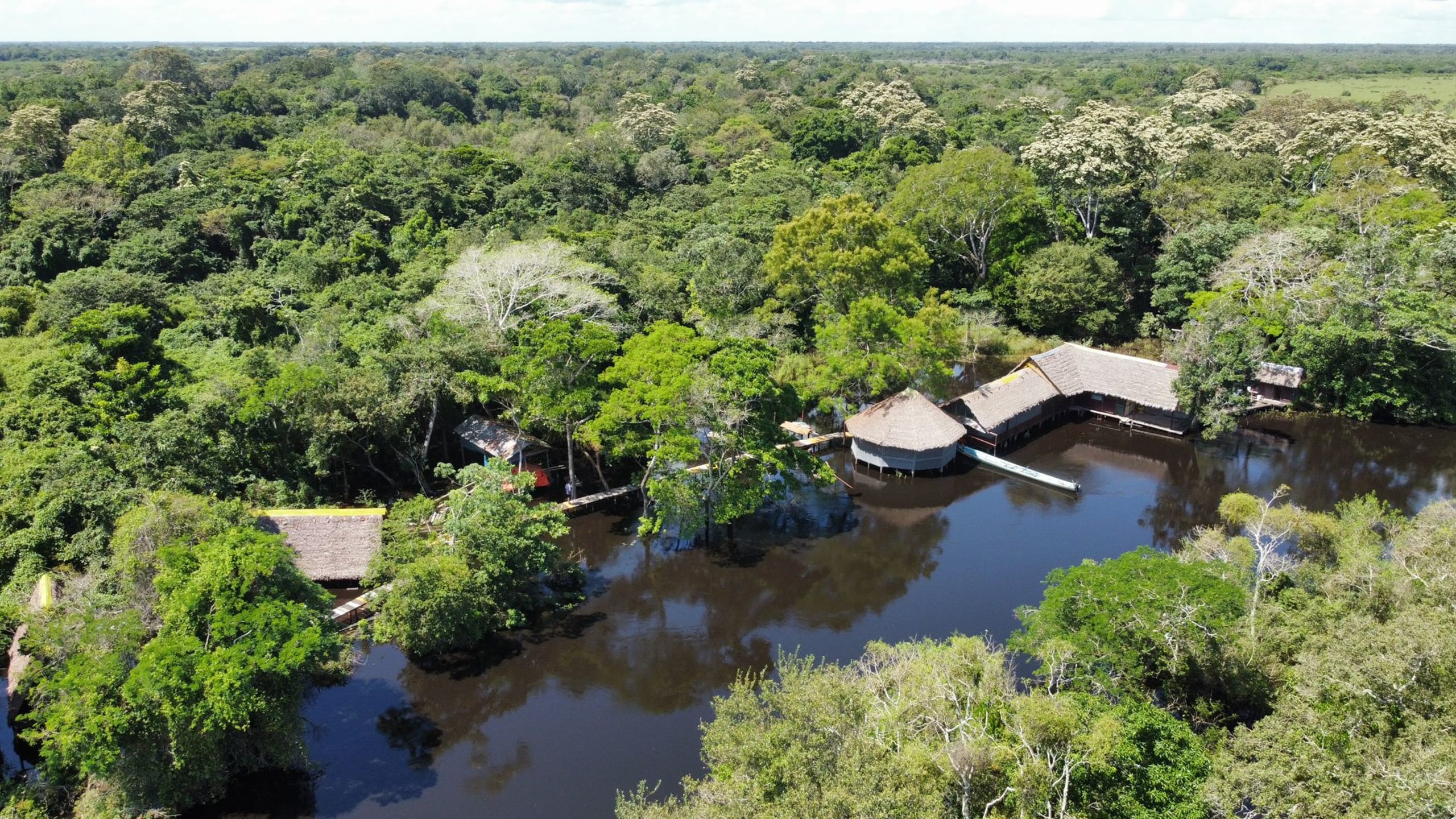 Bolivian Amazon Pampas Adventure 4D/3N (from Rurrenabaque) - 3