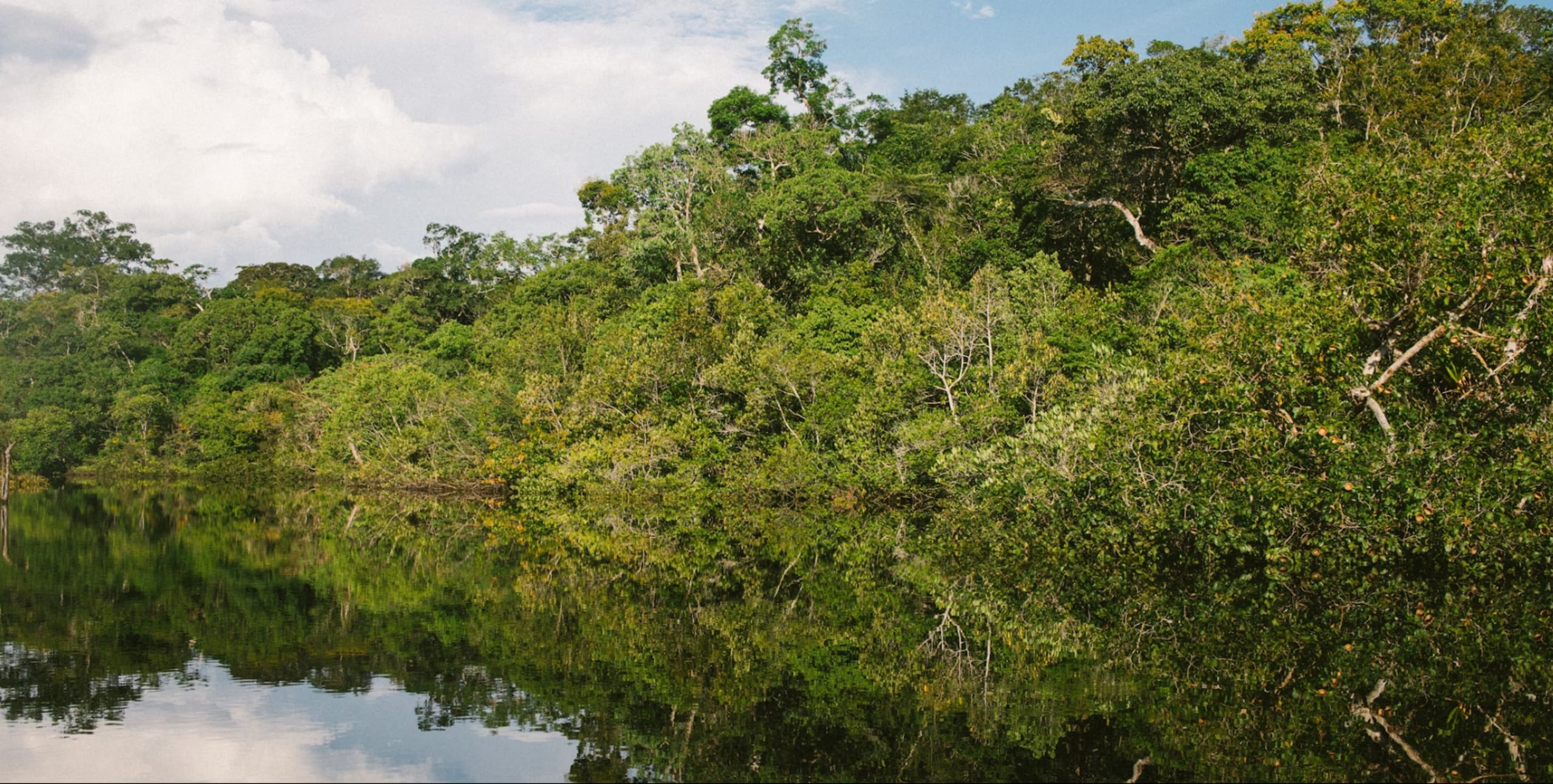 Manaus Amazon Jungle Adventure 3D/2N - 8