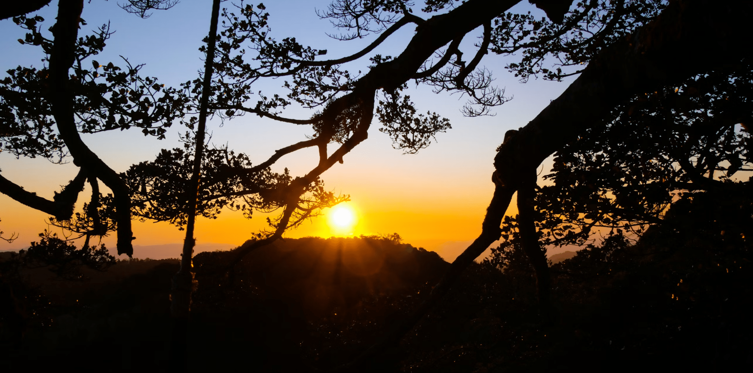 Manaus Amazon Jungle Adventure 4D/3N - 4