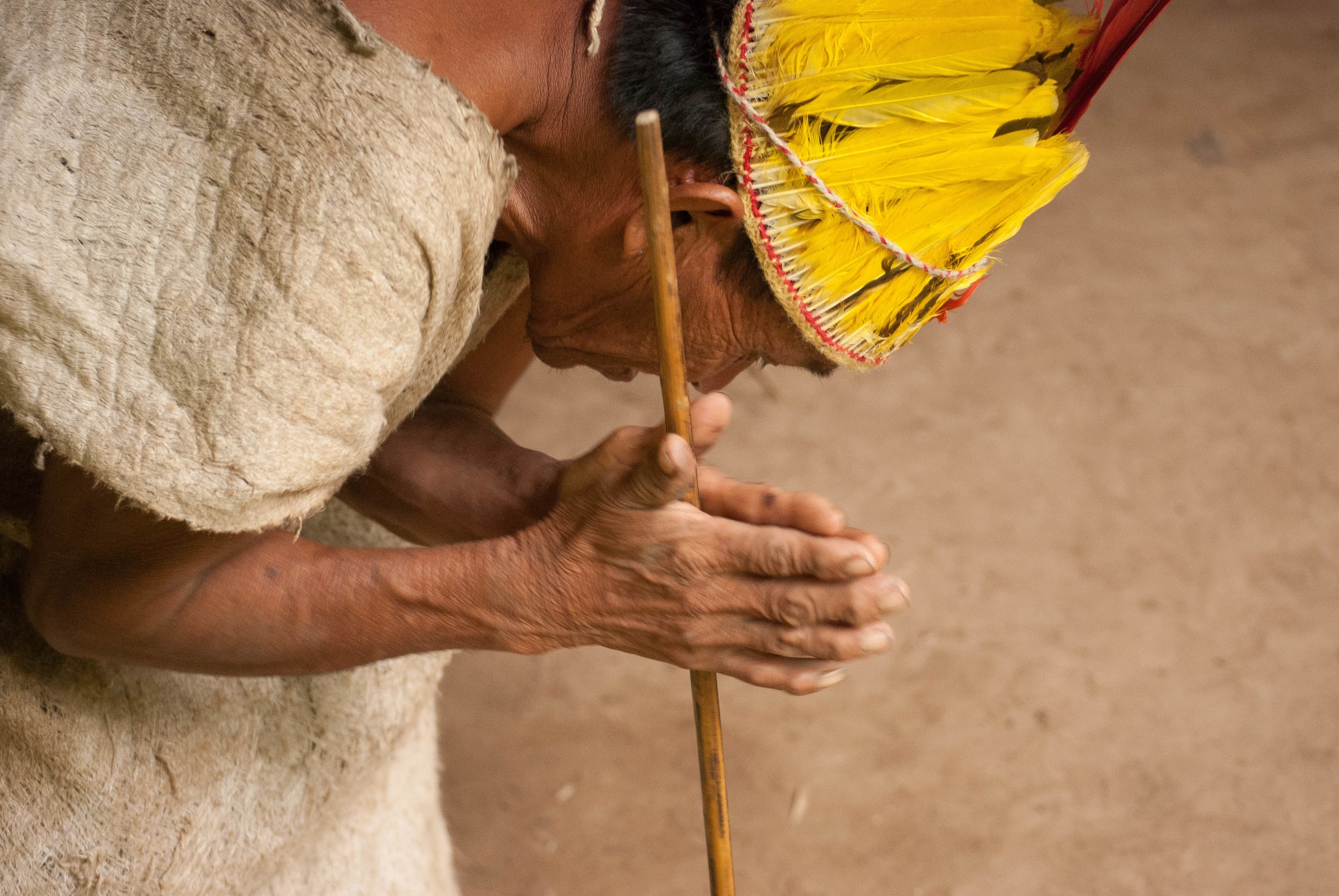 Puerto Maldonado Amazon Eco-Lodge 3D/2N (from Puerto Maldonado) - 19