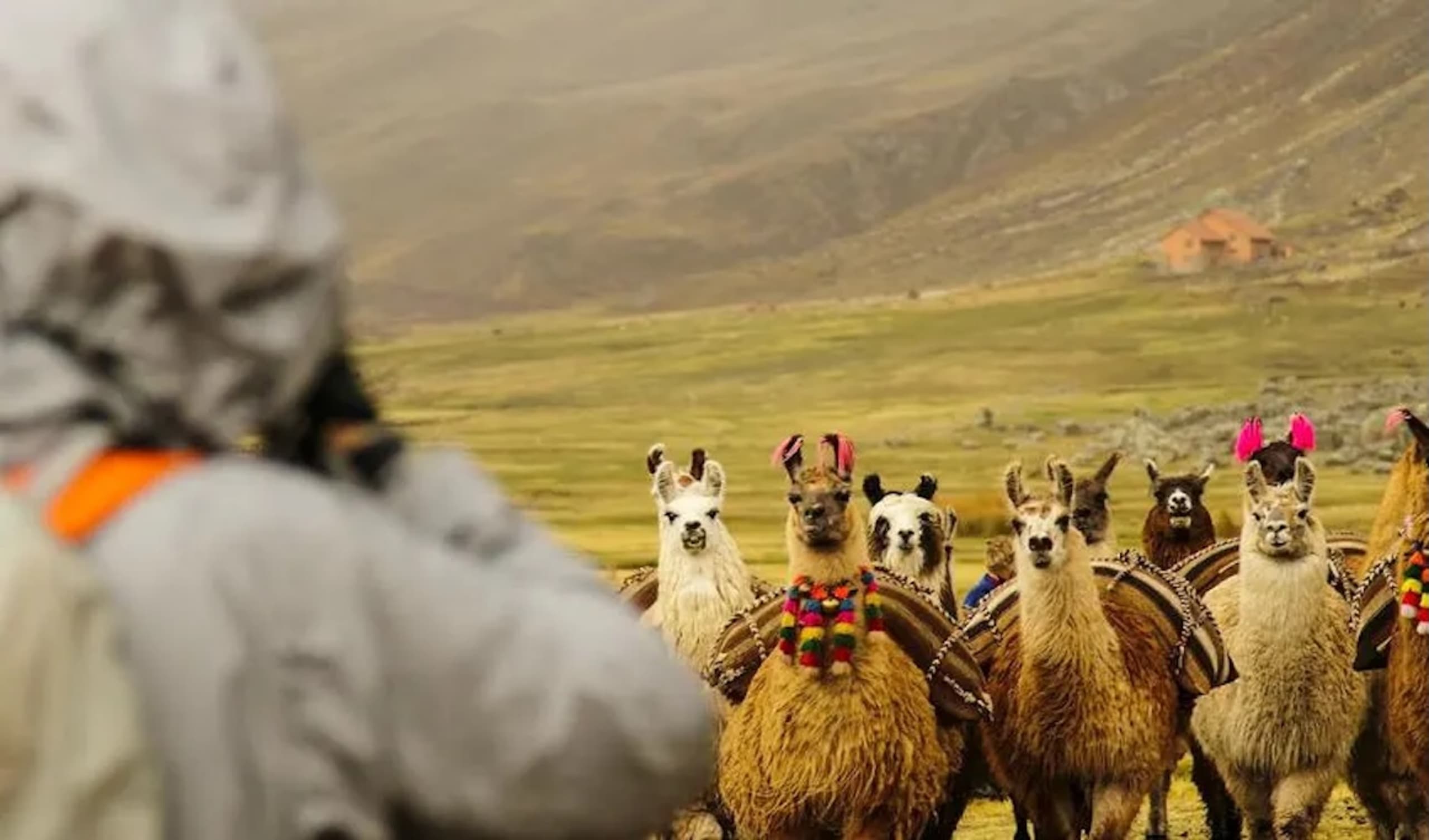 Rainbow Mountain Trek - 12