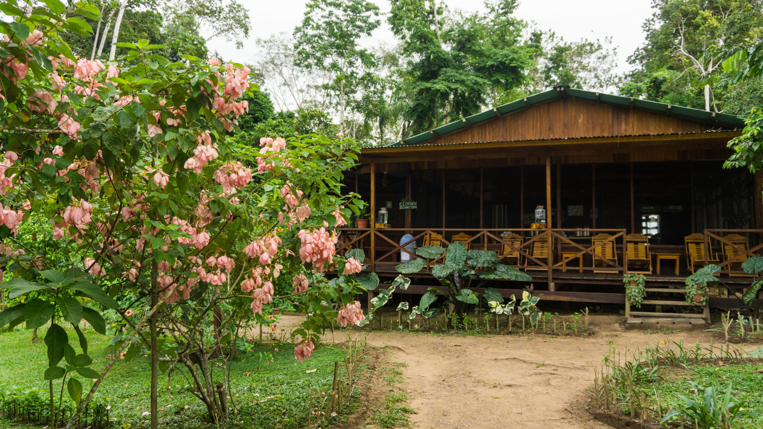 Puerto Maldonado Amazon Eco-Lodge 5D/4N (from Cuzco) - 30