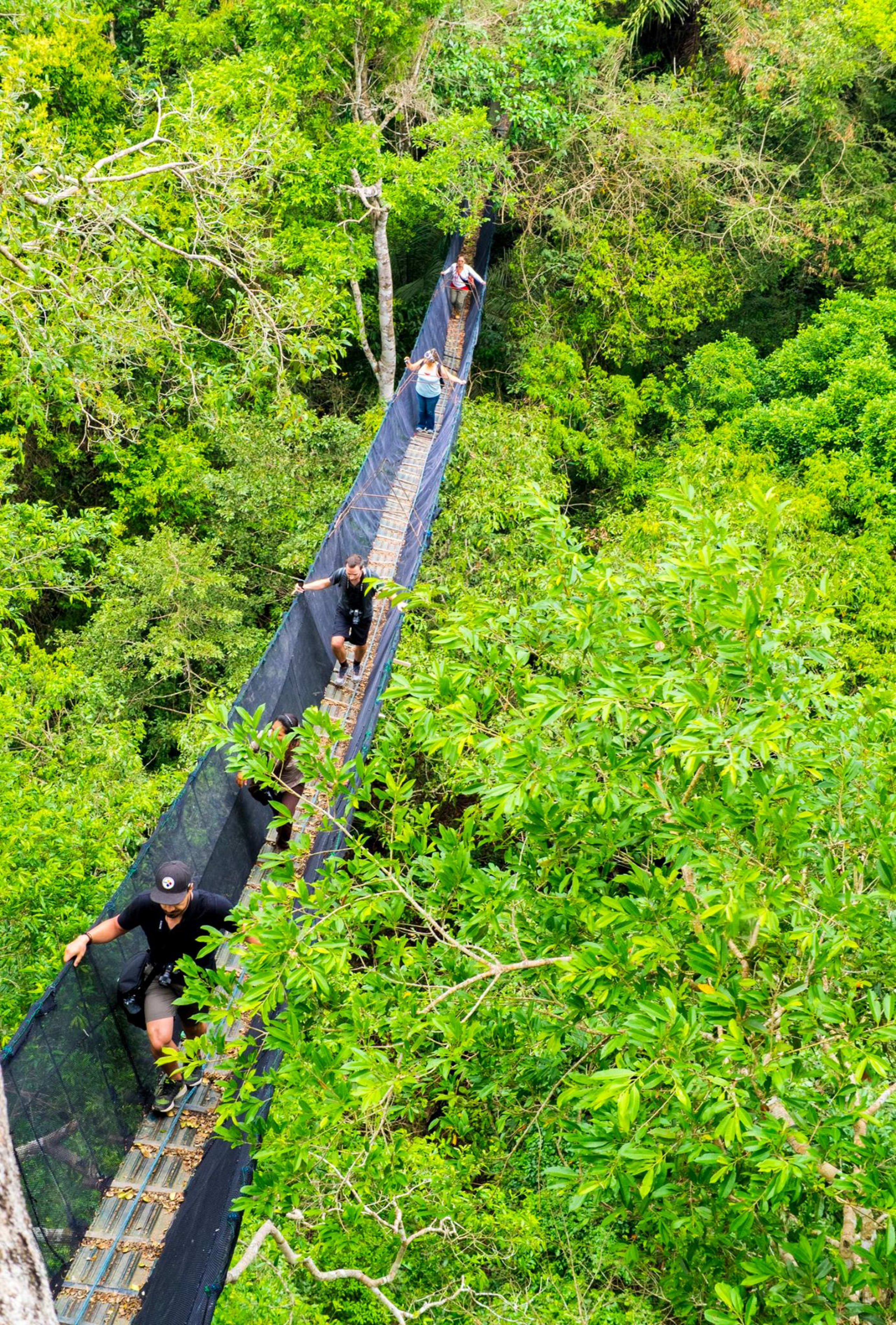 Puerto Maldonado Amazon Eco-Lodge 5D/4N (from Cuzco) - 23