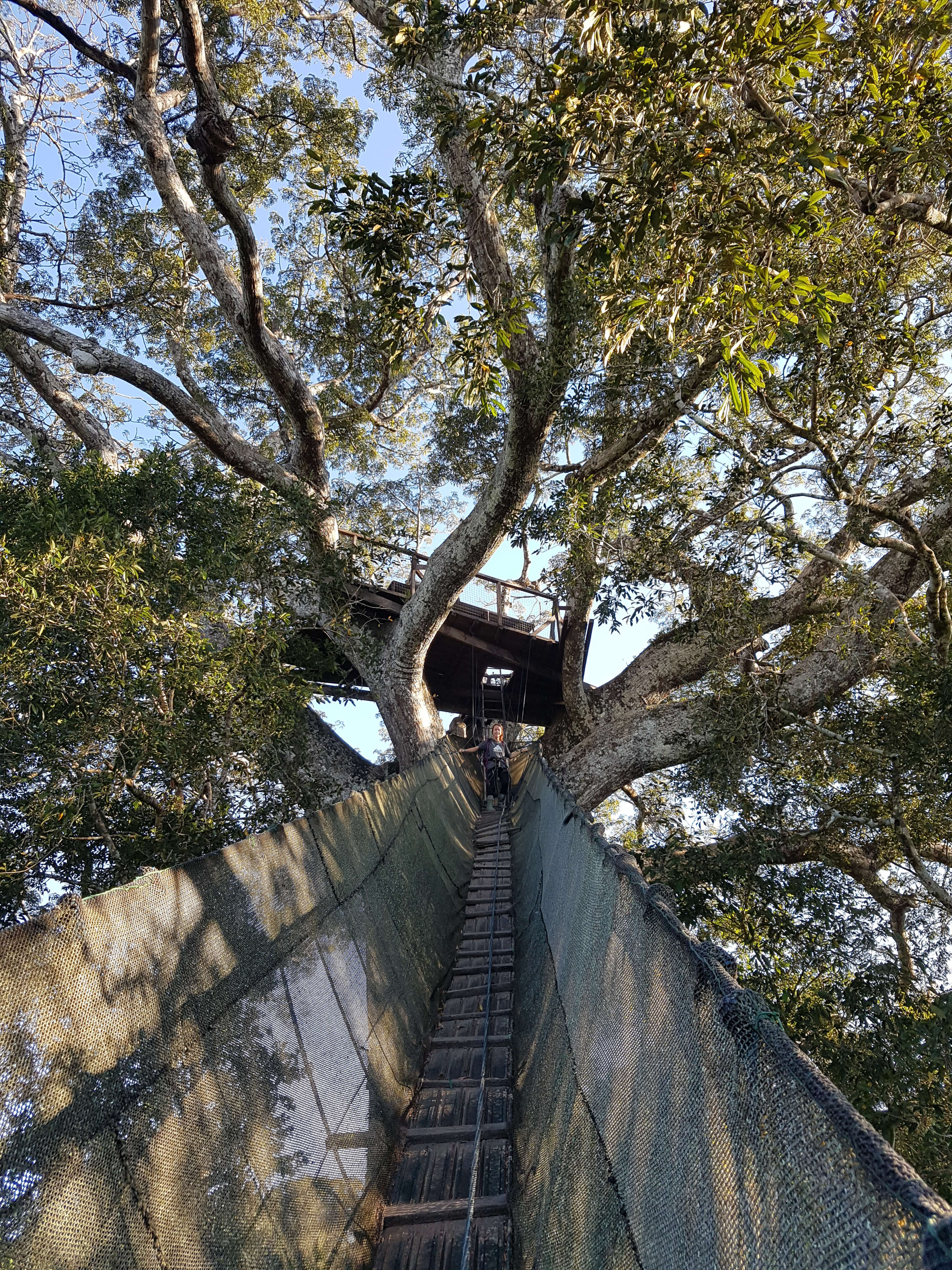 Puerto Maldonado Amazon Eco-Lodge 5D/4N (from Cuzco) - 22