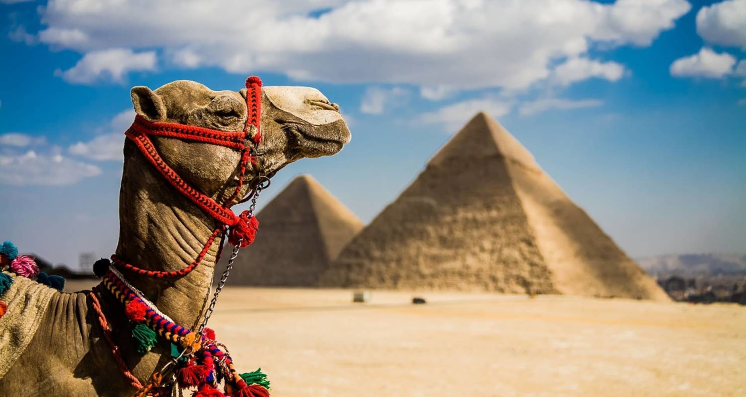 Egypt Adventure: Cairo, Nile Cruise, and Alexandria Discovery 11D/10N - 3