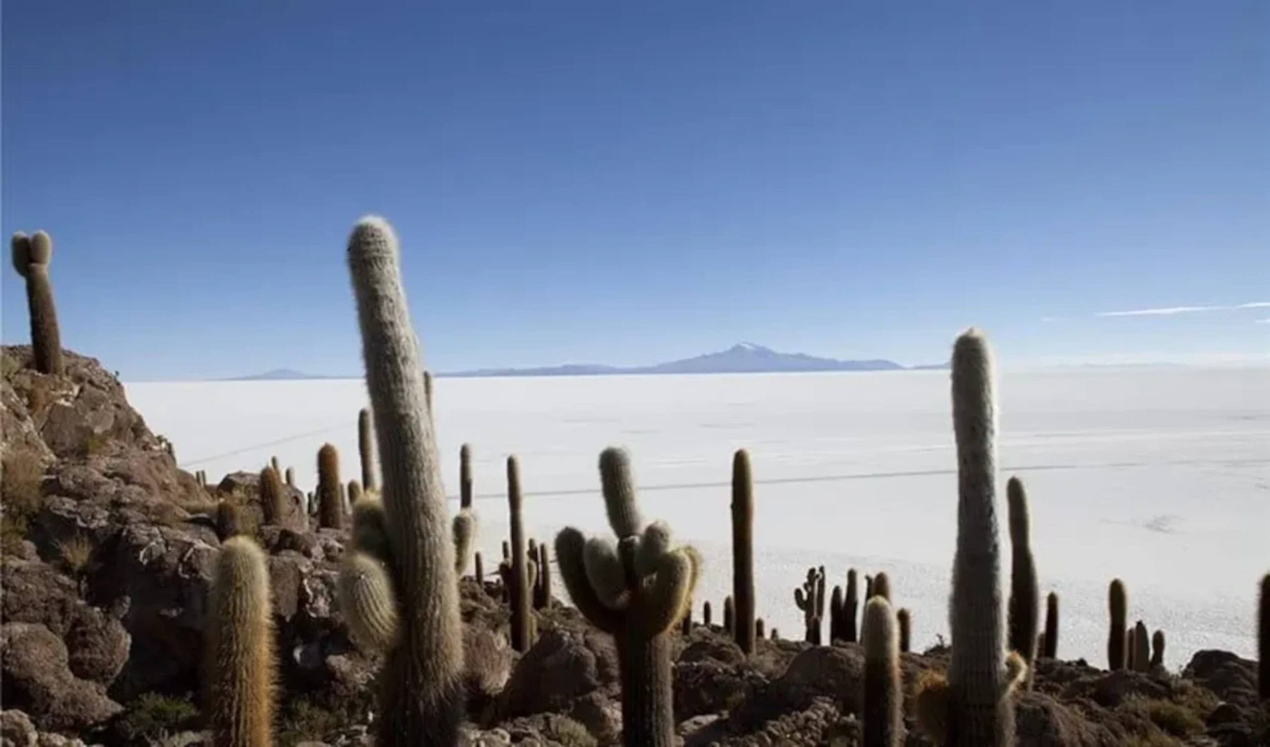 Uyuni Salt Flats & Desert Adventure 4D/3N (Atacama to La Paz) - 30