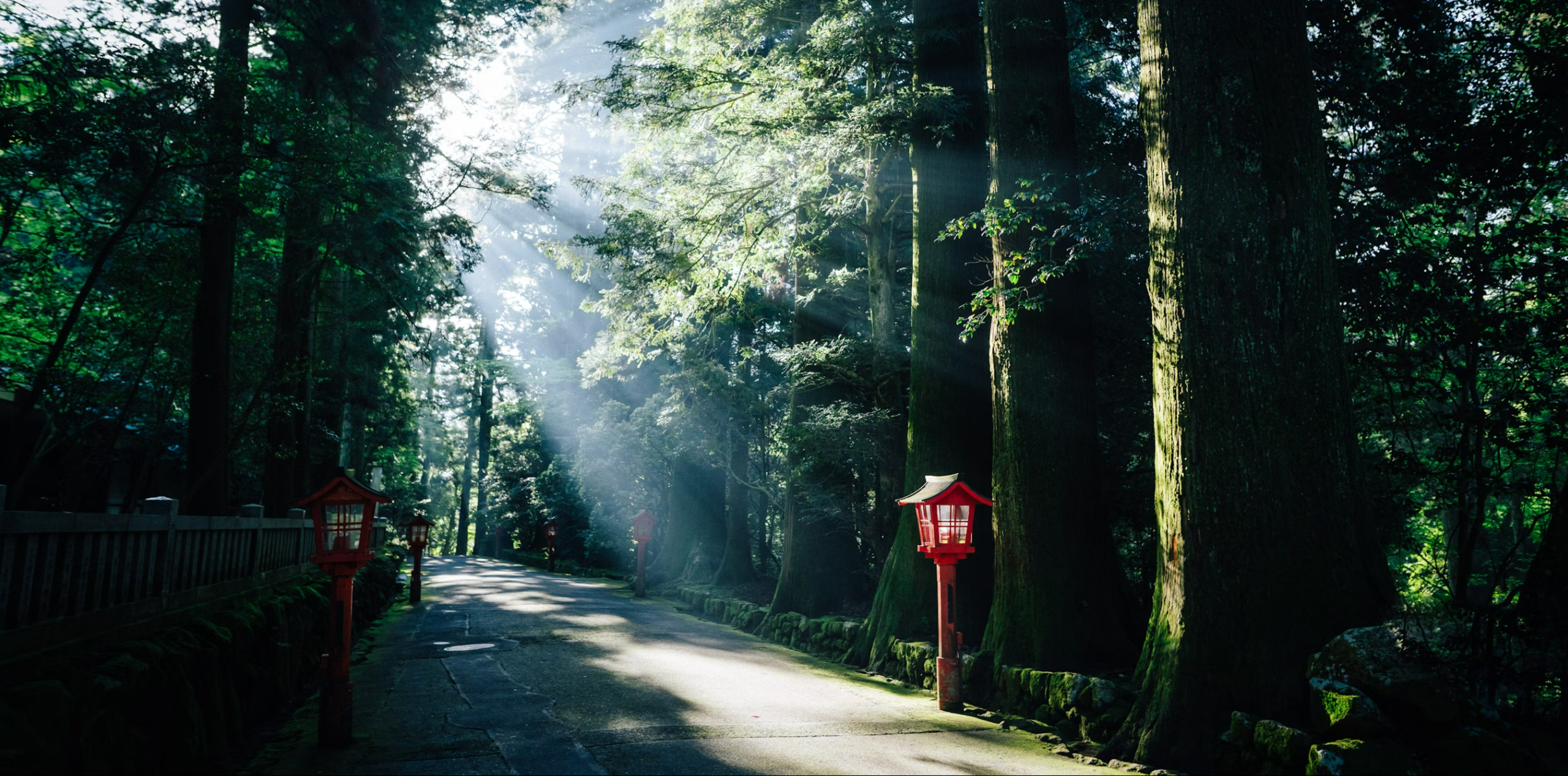 Hakone Discovery, Gateway to Mt. Fuji 3D/2N - 13
