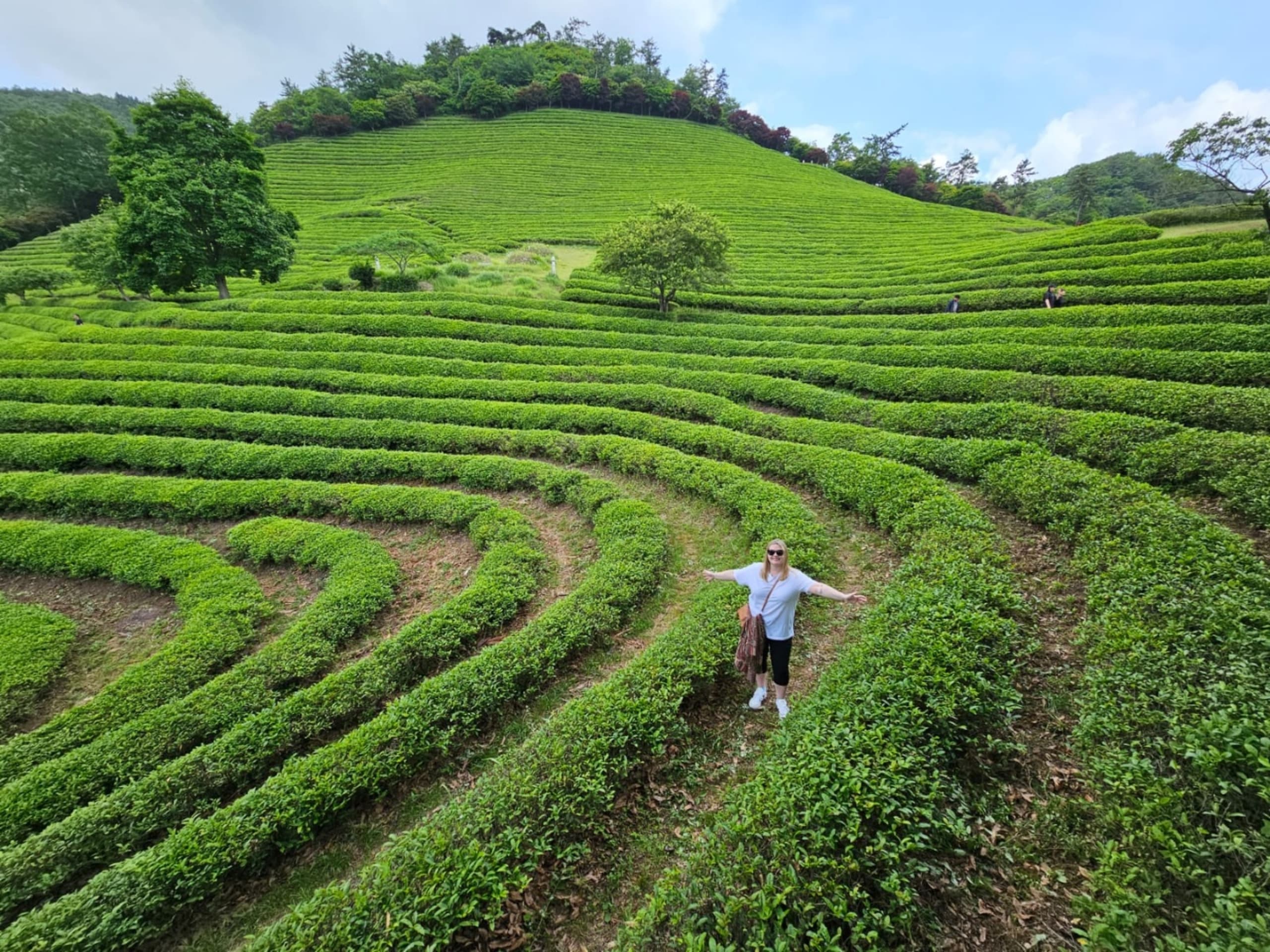 South Korea Highlights 7D/6N - 16