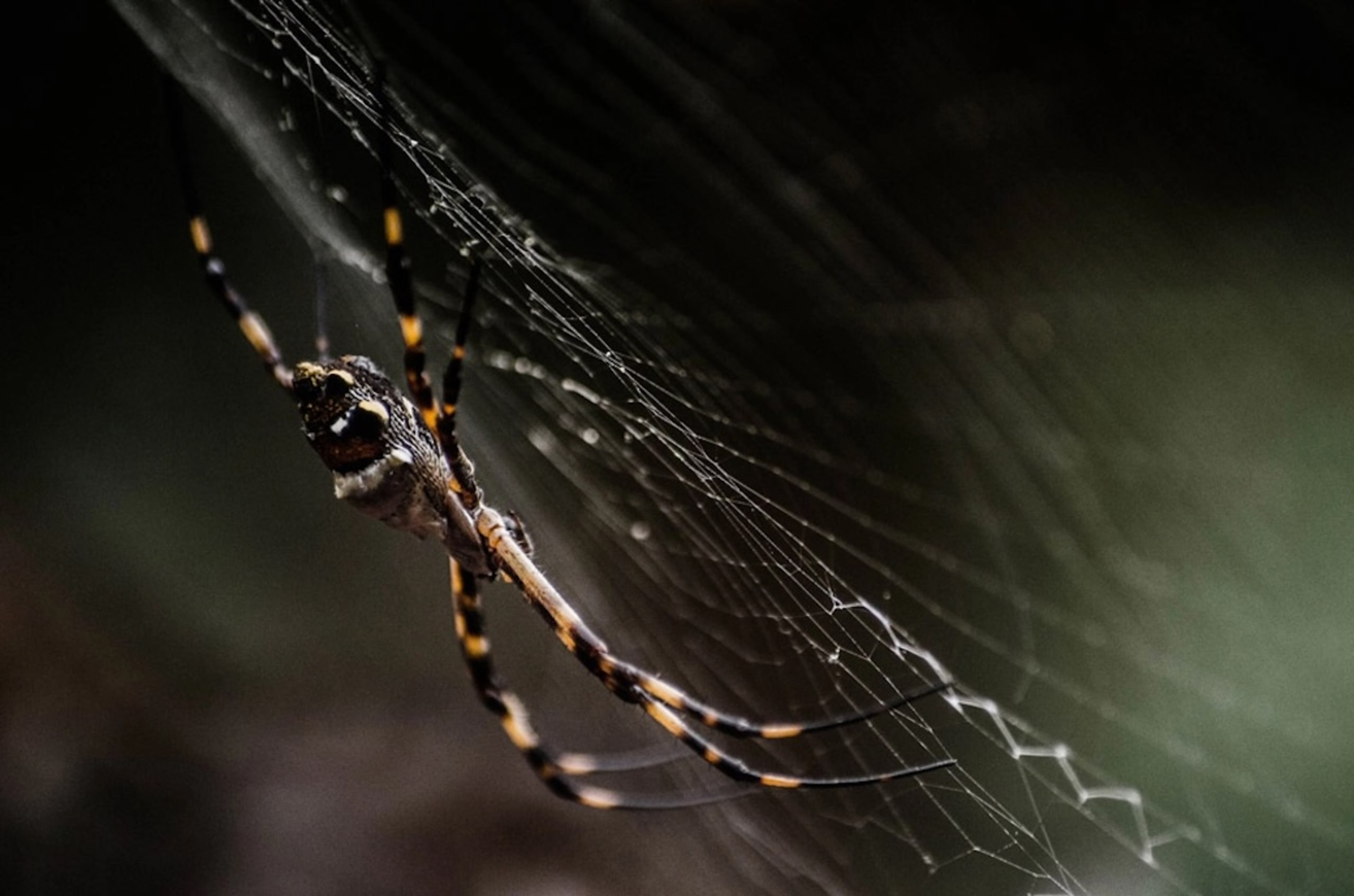 Puerto Maldonado Amazon Budget Eco-Lodge 4D/3N - 16